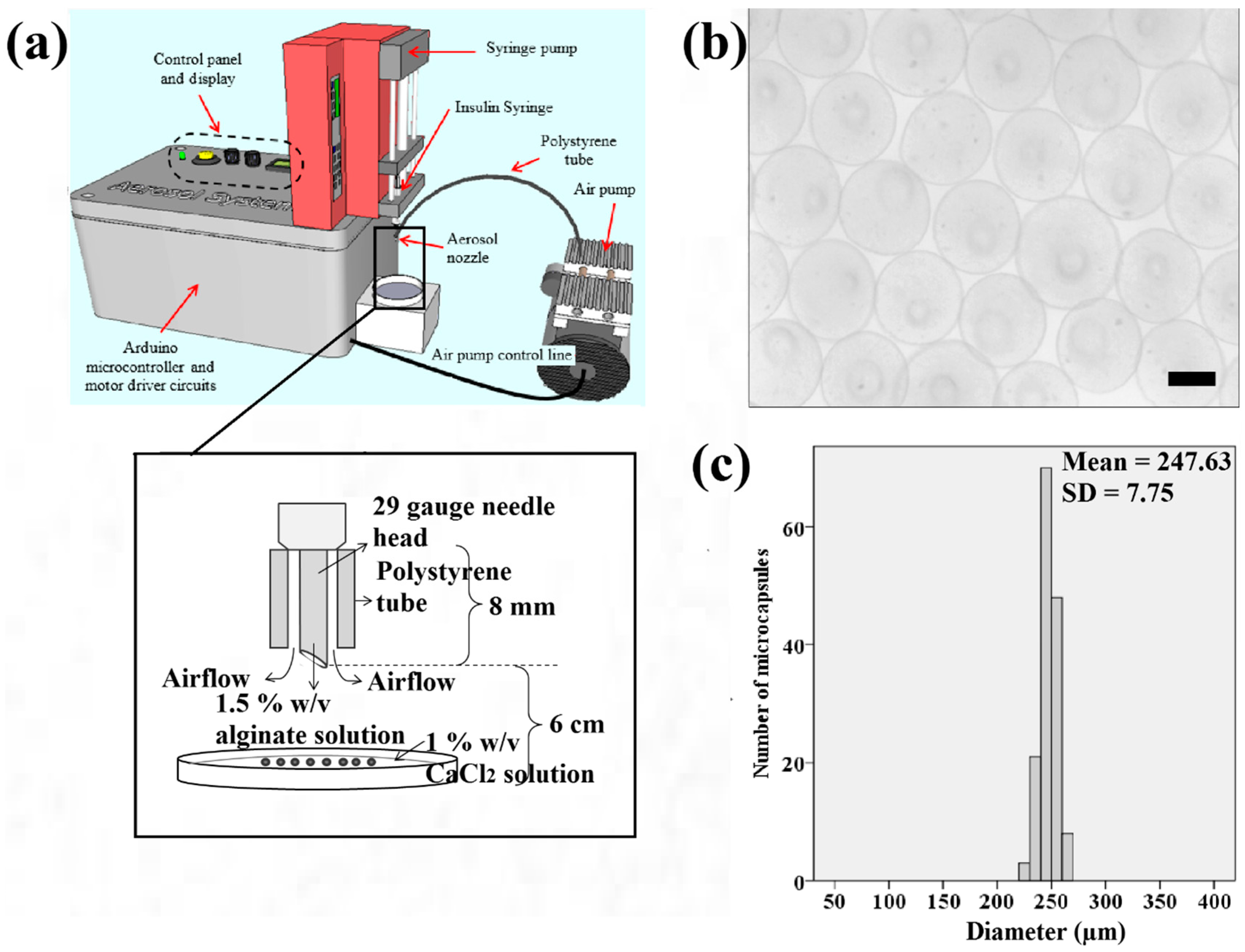 Bioengineering 04 00043 g001 550