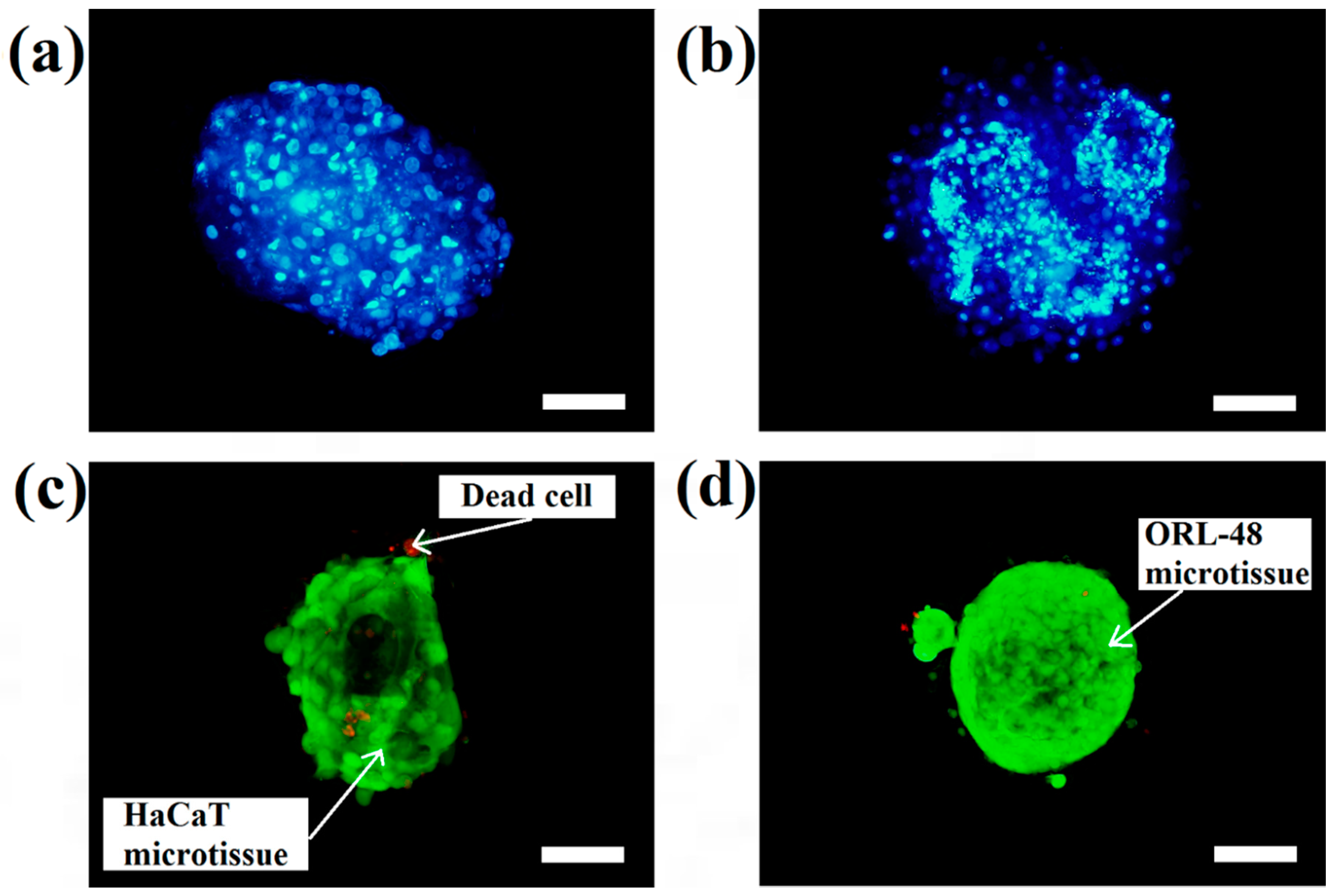 Bioengineering 04 00043 g004 550