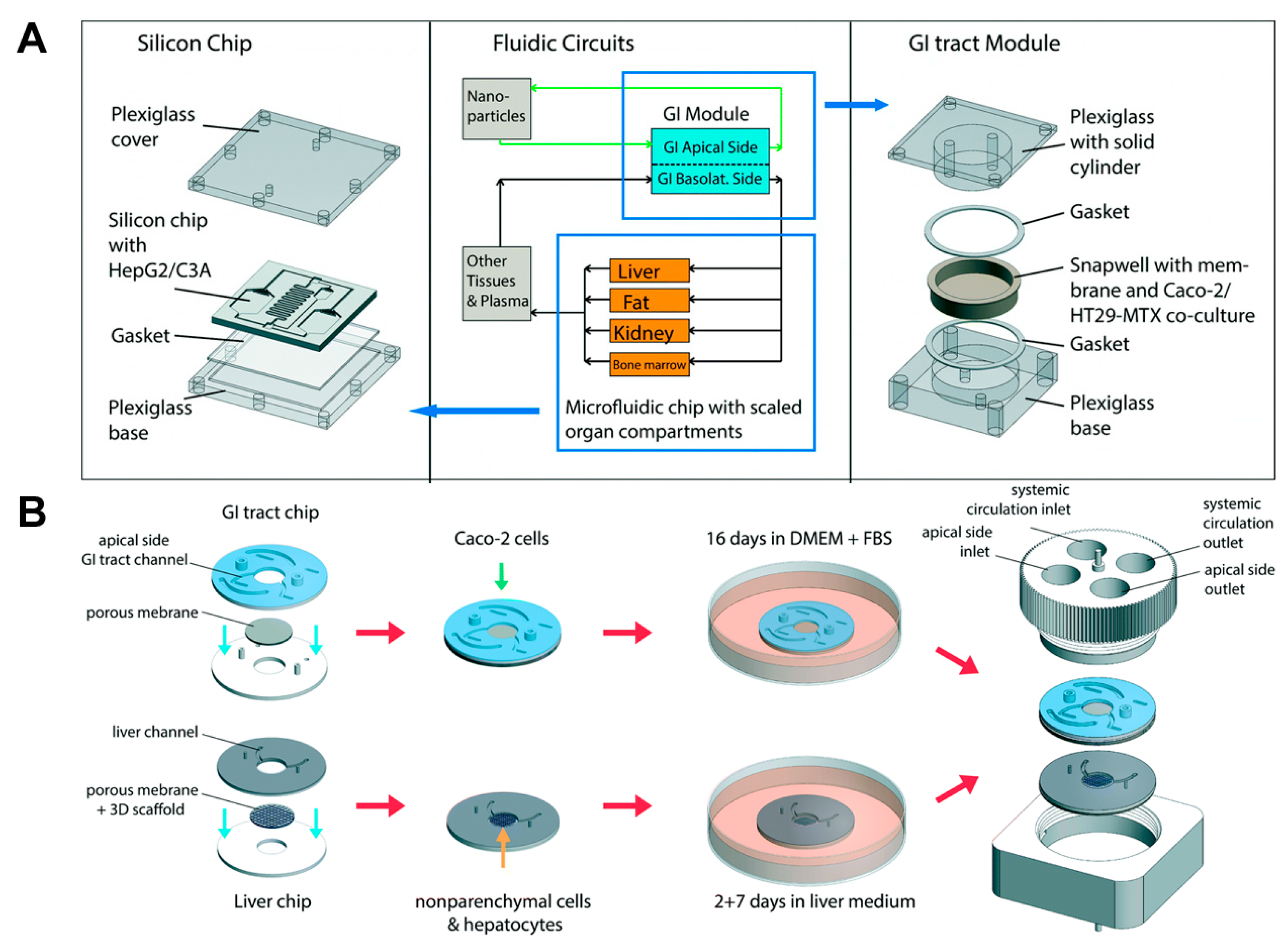 Bioengineering 04 00046 g002 550