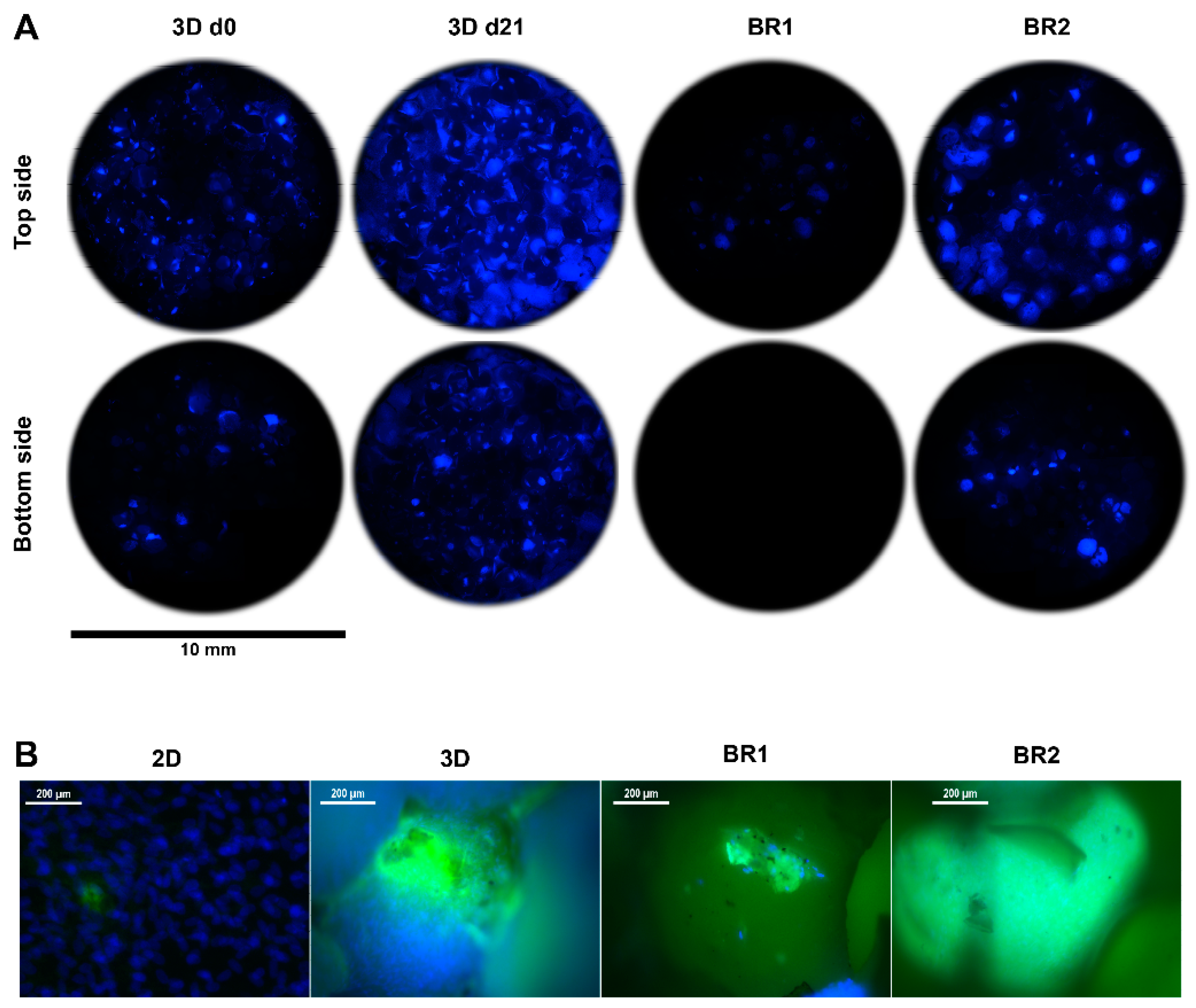 Bioengineering 04 00051 g008