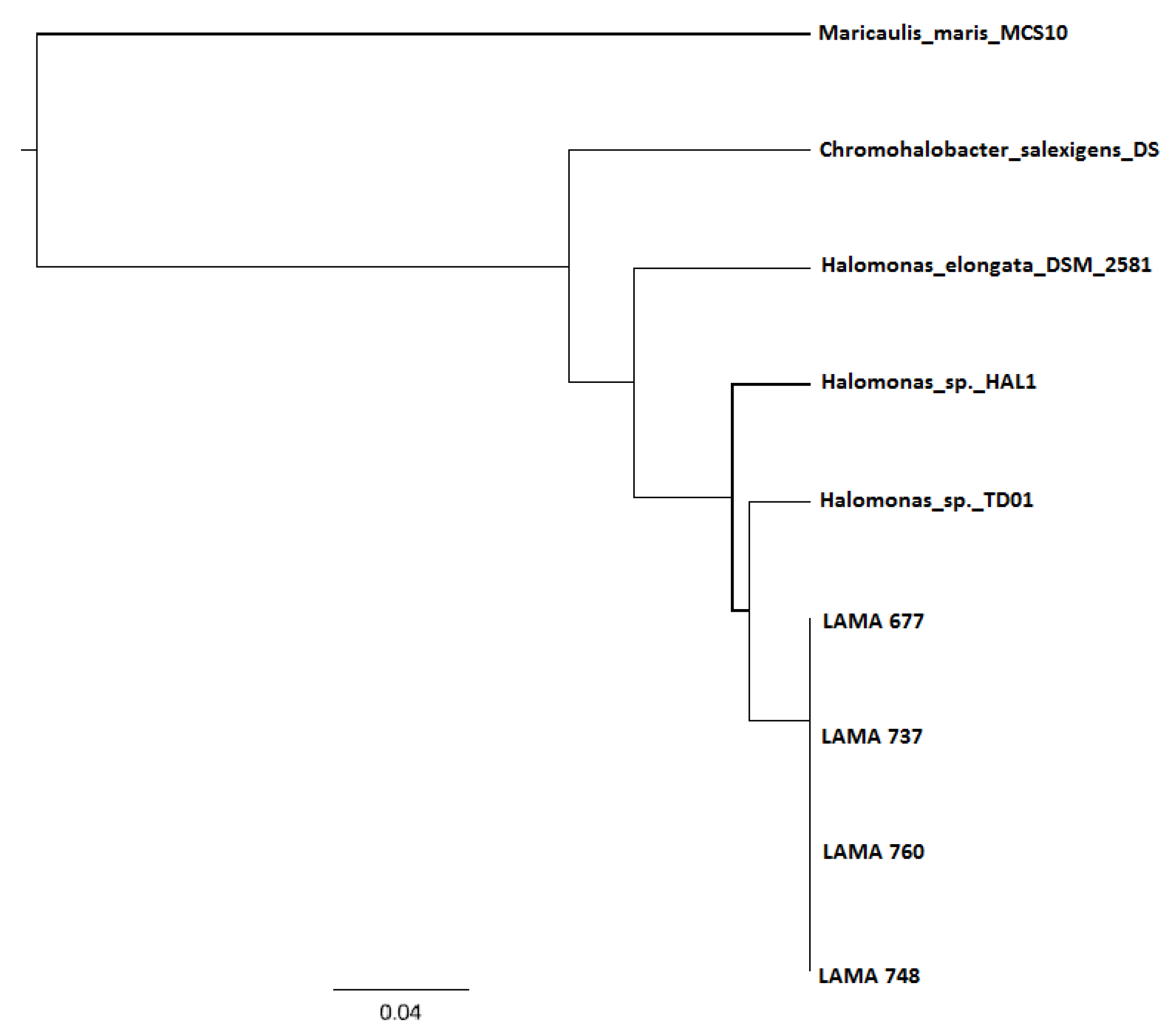 Bioengineering 04 00052 g004 550