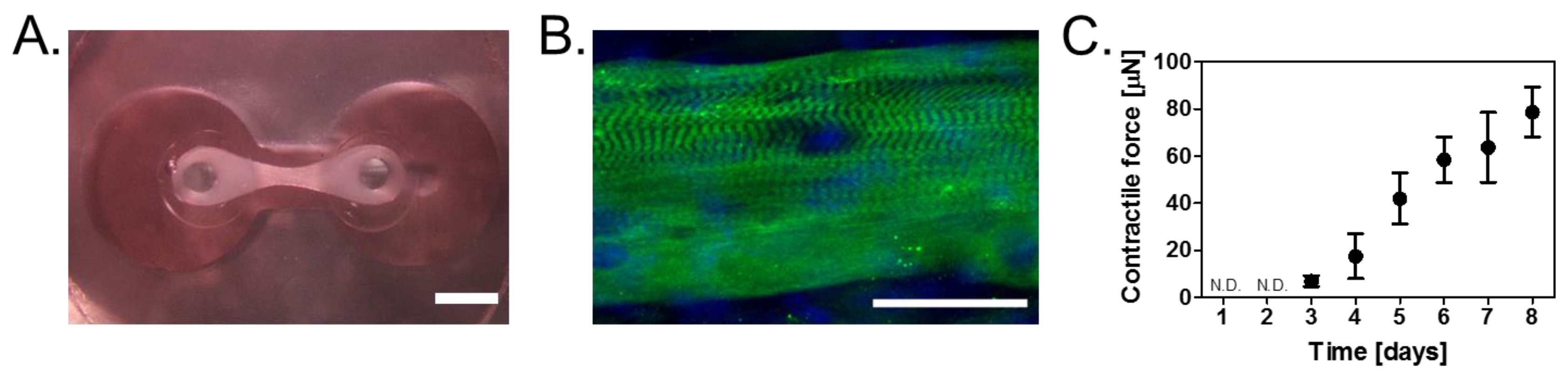 Bioengineering 04 00056 g002 550