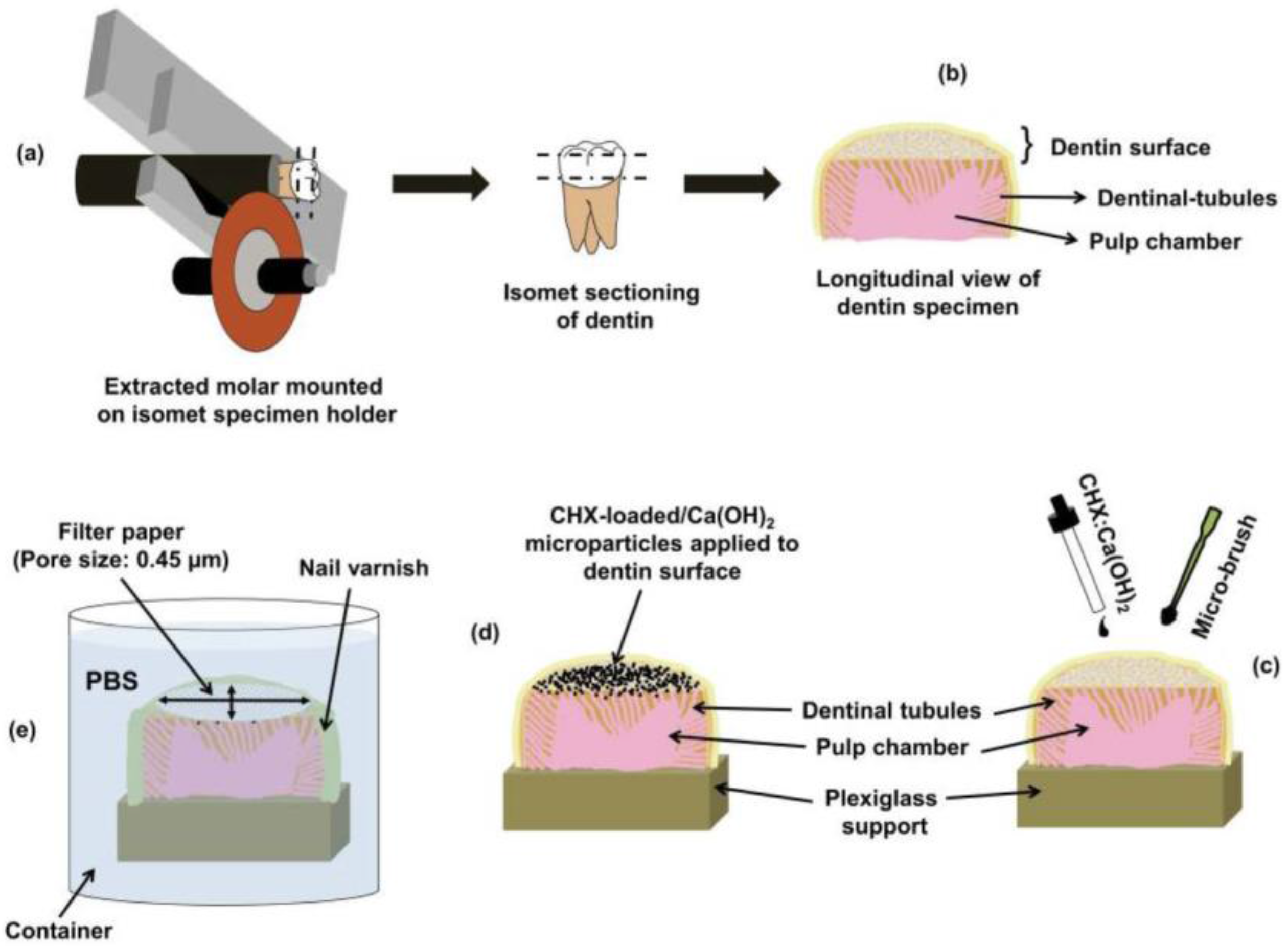 Bioengineering 04 00059 g002 550