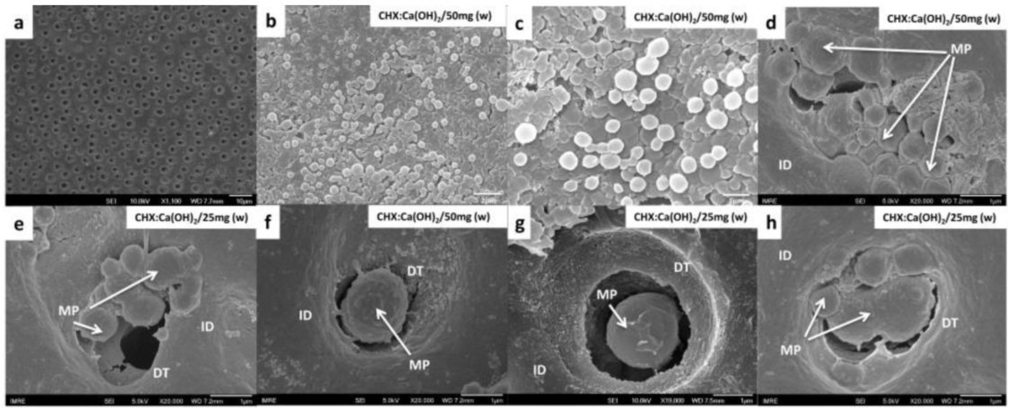 Bioengineering 04 00059 g007 550