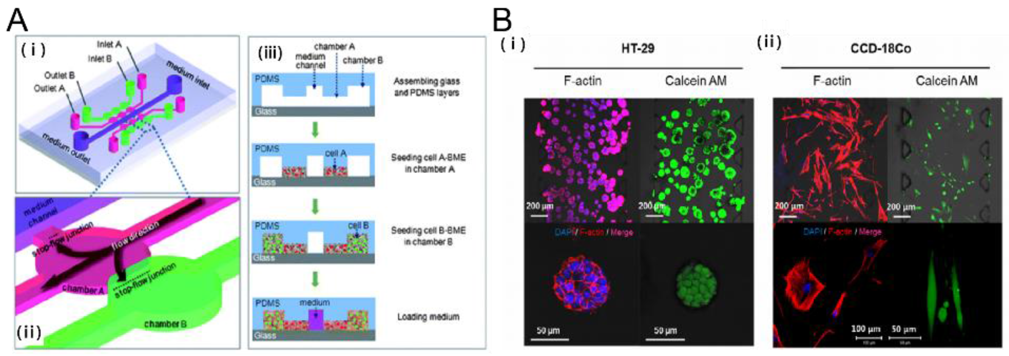 Bioengineering 04 00064 g002