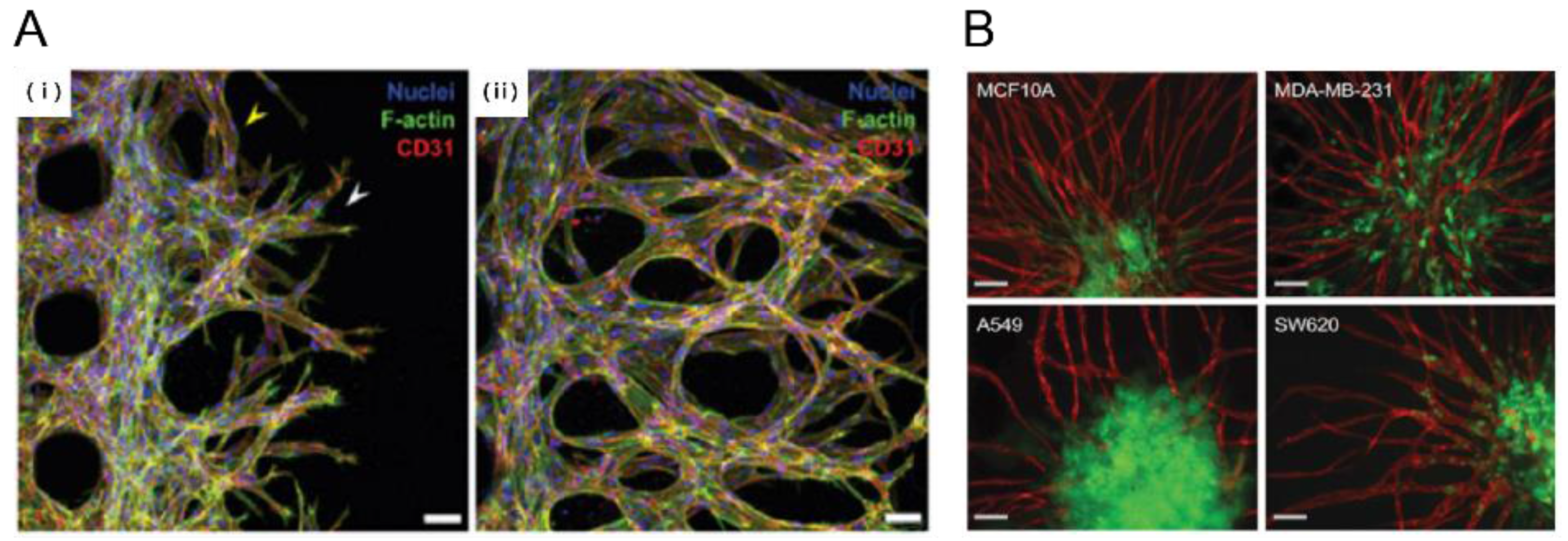 Bioengineering 04 00064 g003