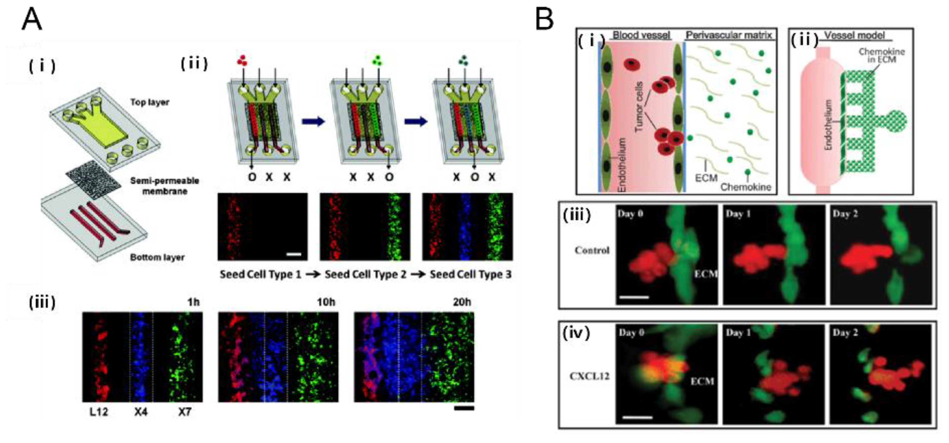 Bioengineering 04 00064 g005