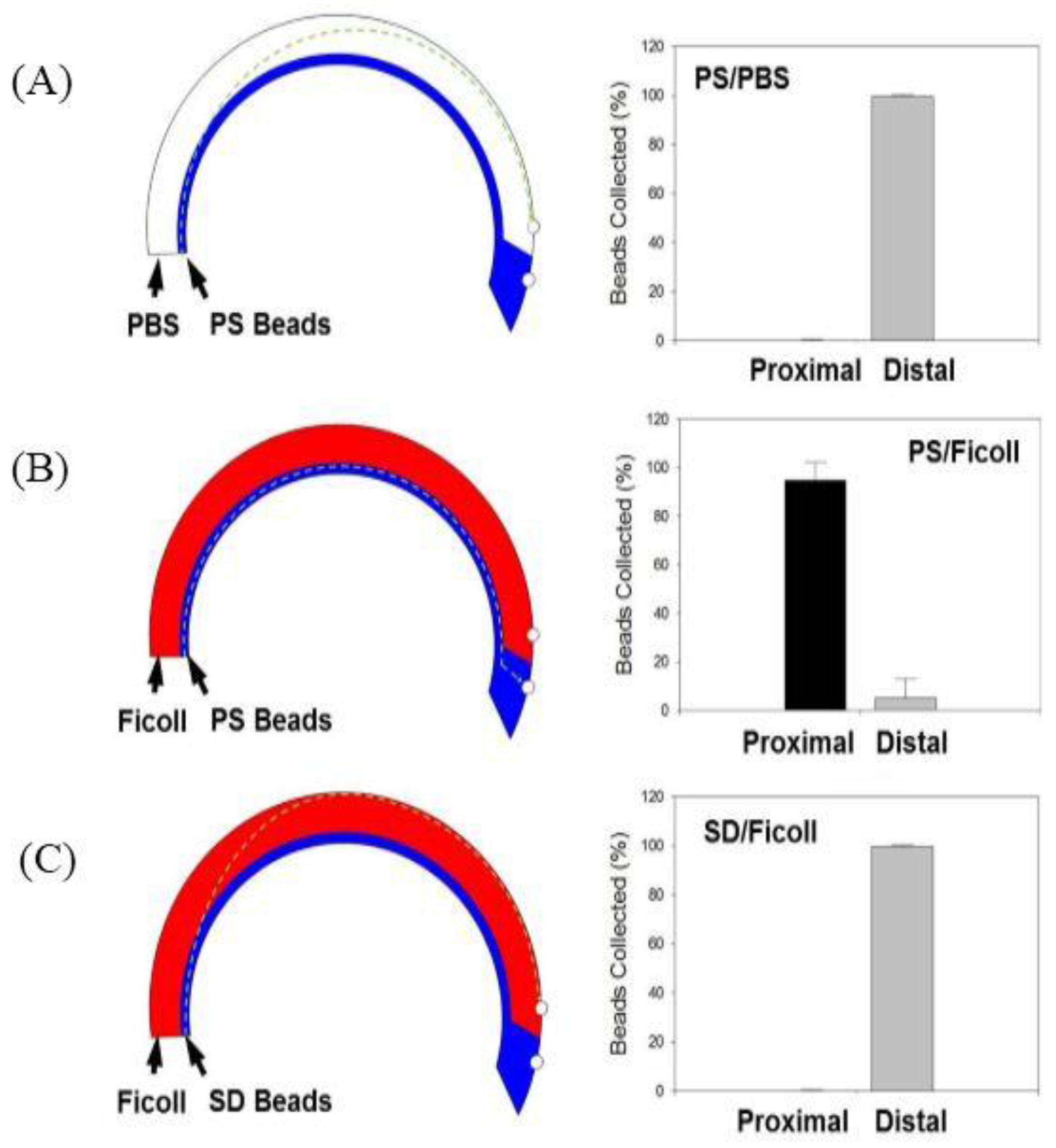 Bioengineering 04 00067 g003 Bioengineering 04 00067 g003