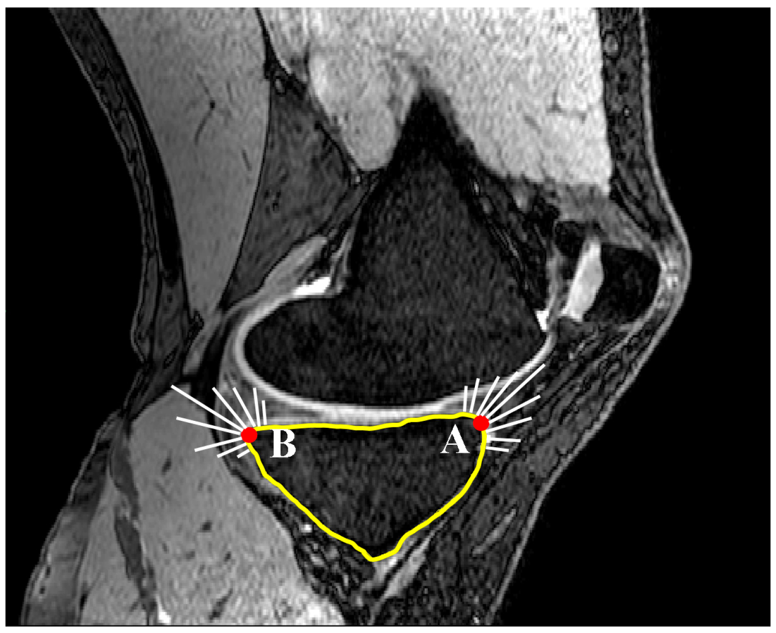 Bioengineering 04 00069 g004 550