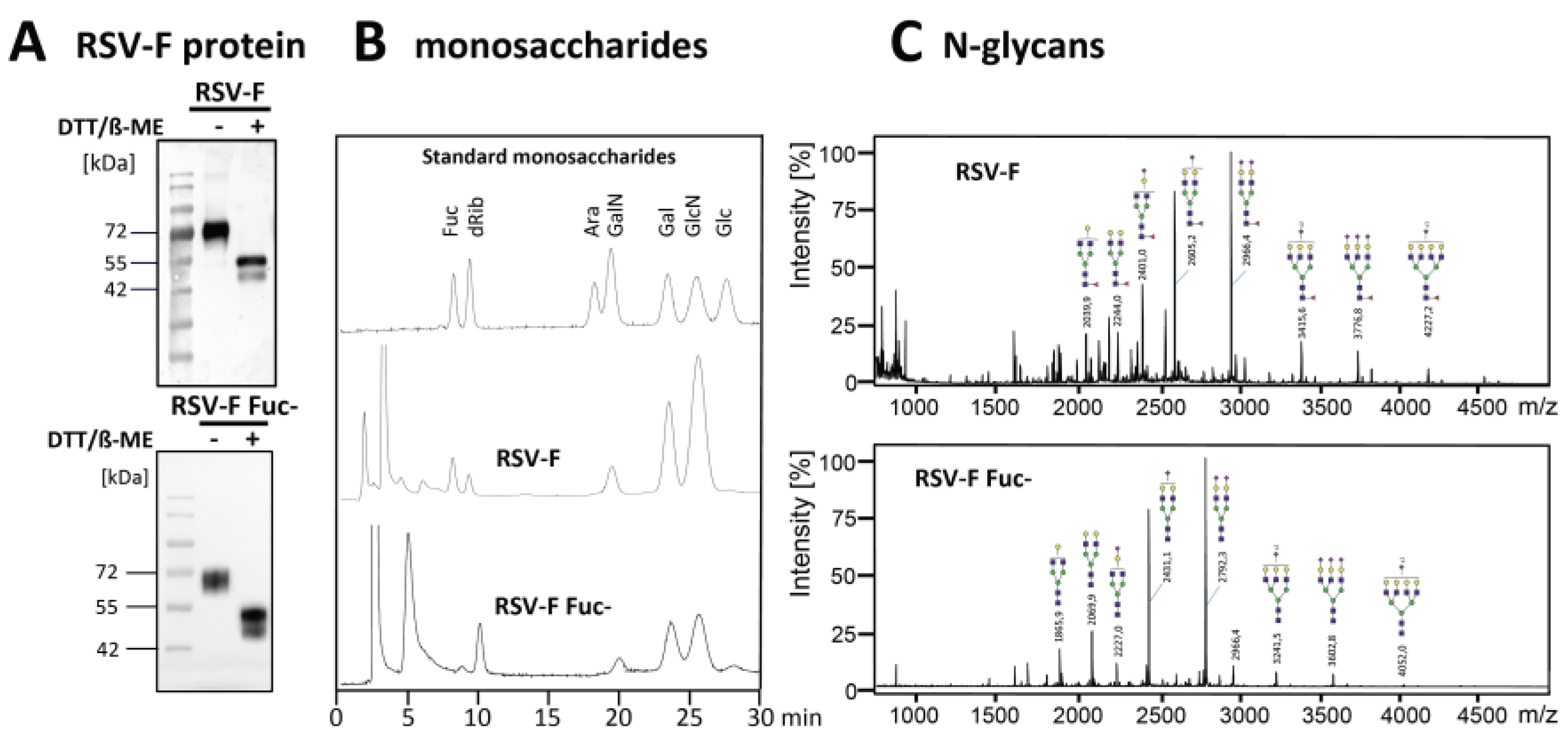 Bioengineering 04 00070 g001 550