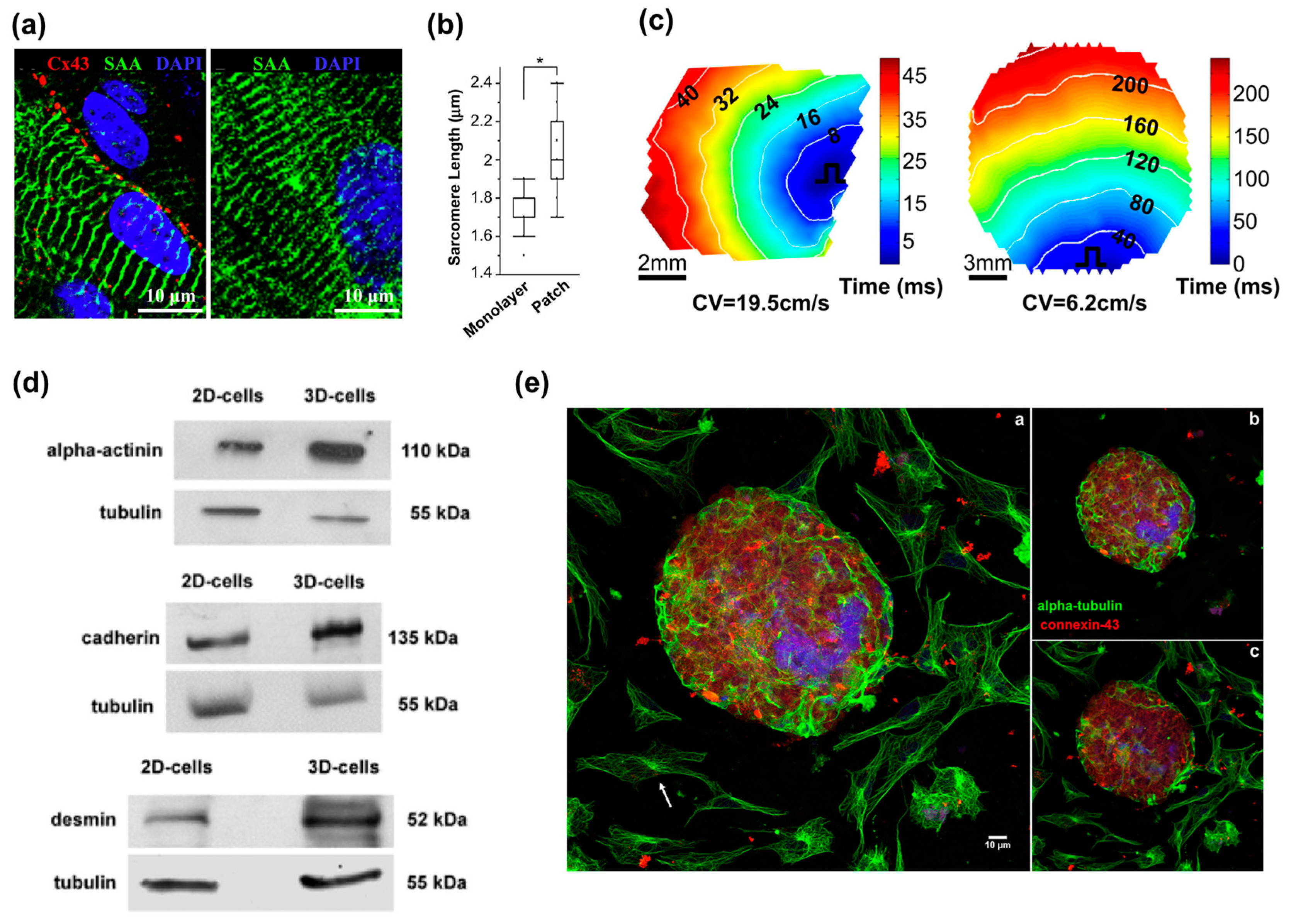 Bioengineering 04 00071 g002 Bioengineering 04 00071 g002