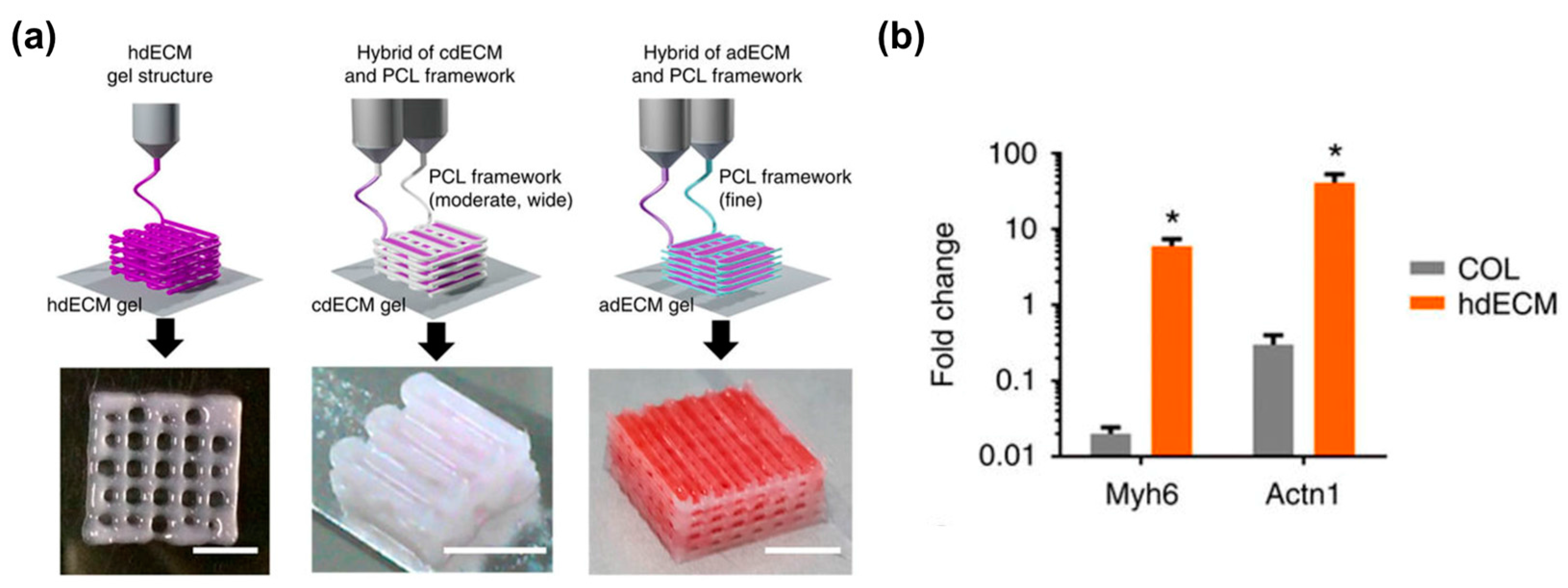 Bioengineering 04 00071 g003a Bioengineering 04 00071 g003a
