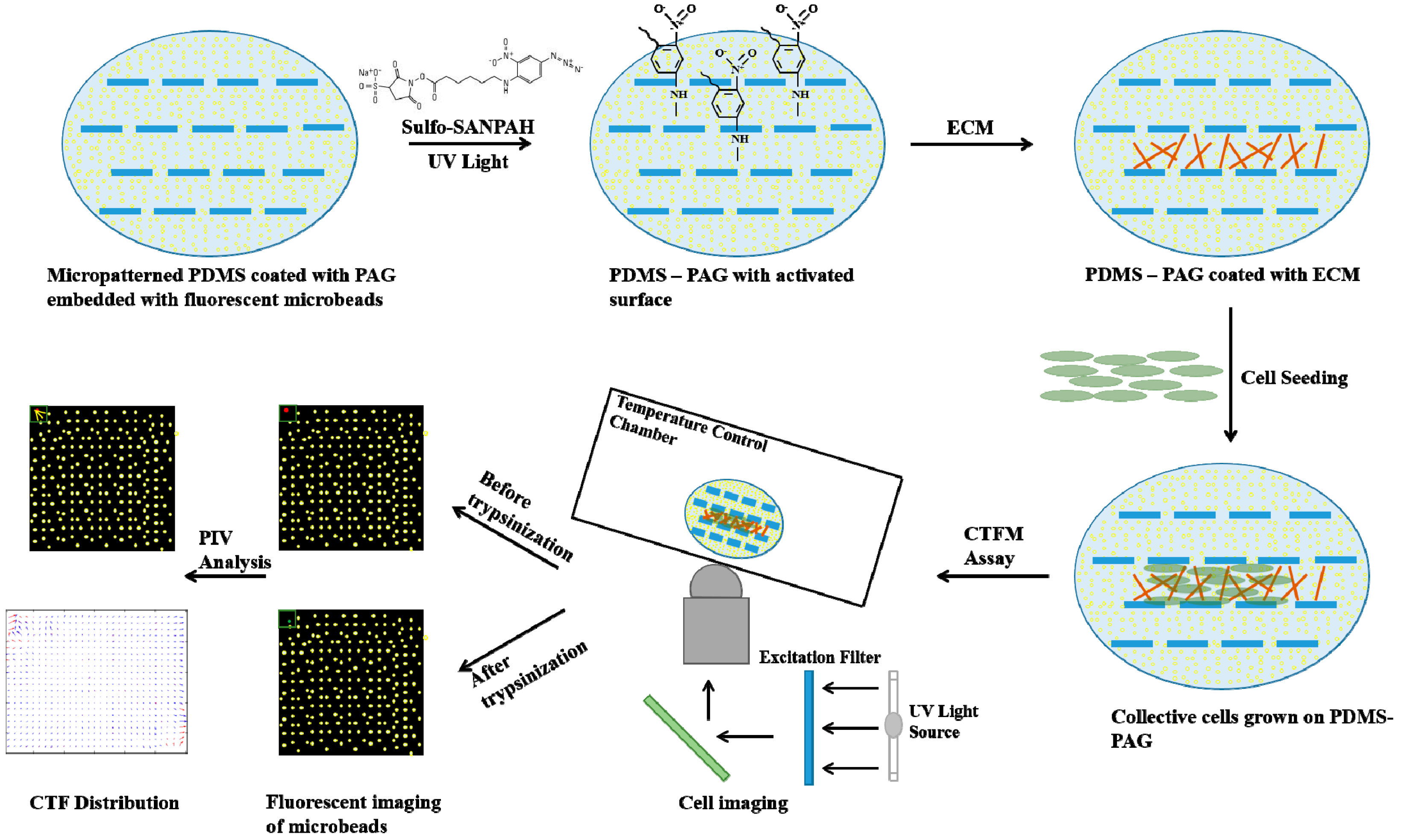 Bioengineering 04 00072 g003 Bioengineering 04 00072 g003