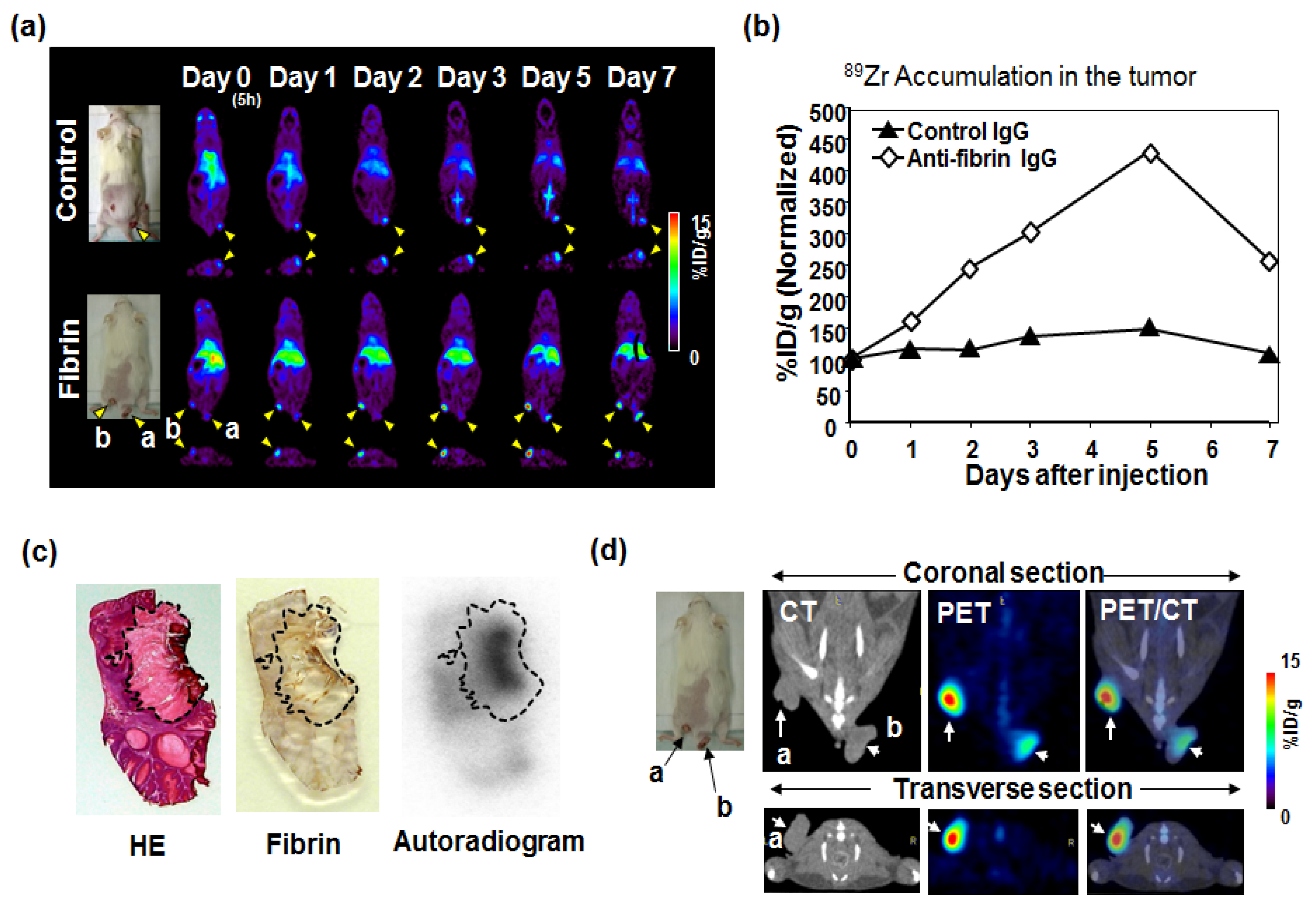 Bioengineering 04 00078 g003 550