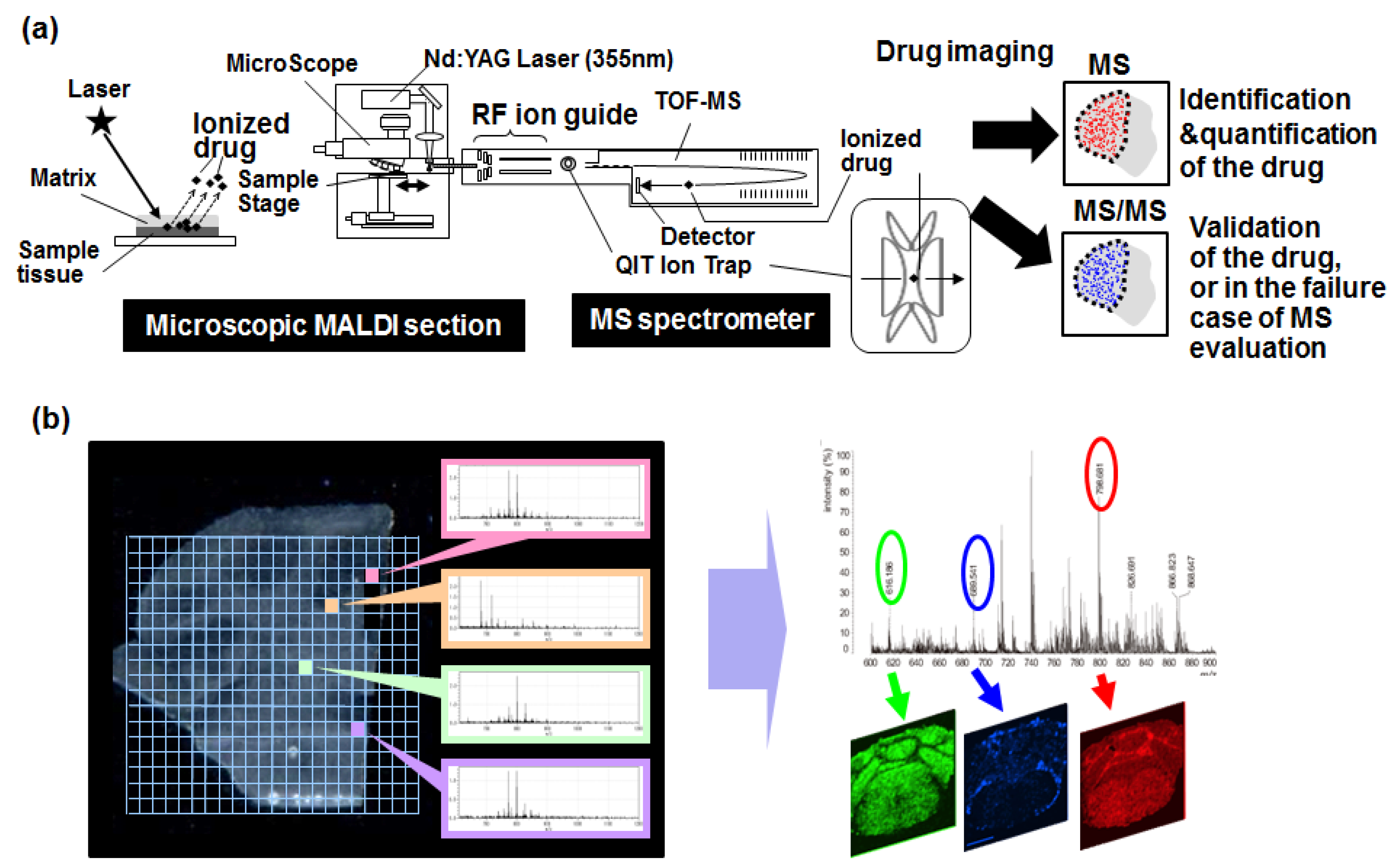 Bioengineering 04 00078 g004 550