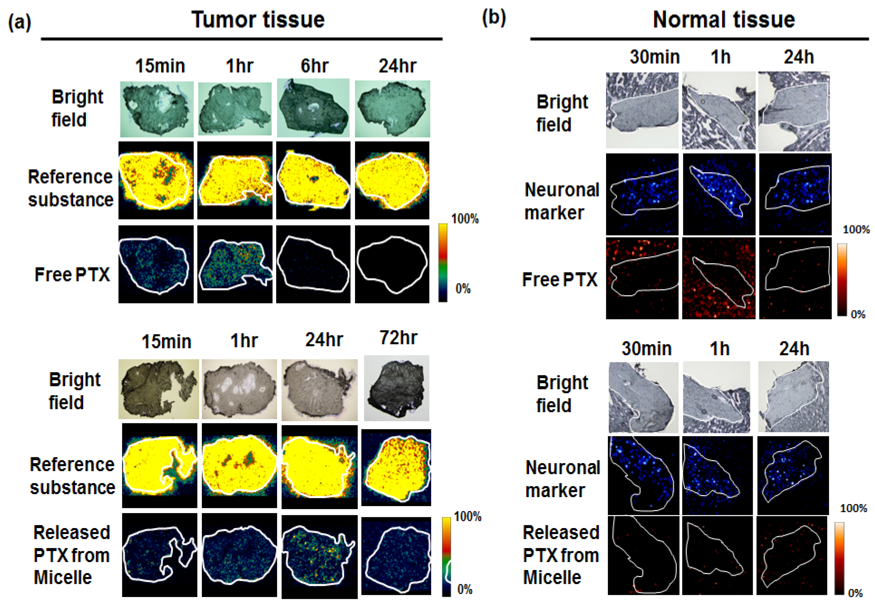 Bioengineering 04 00078 g005 550