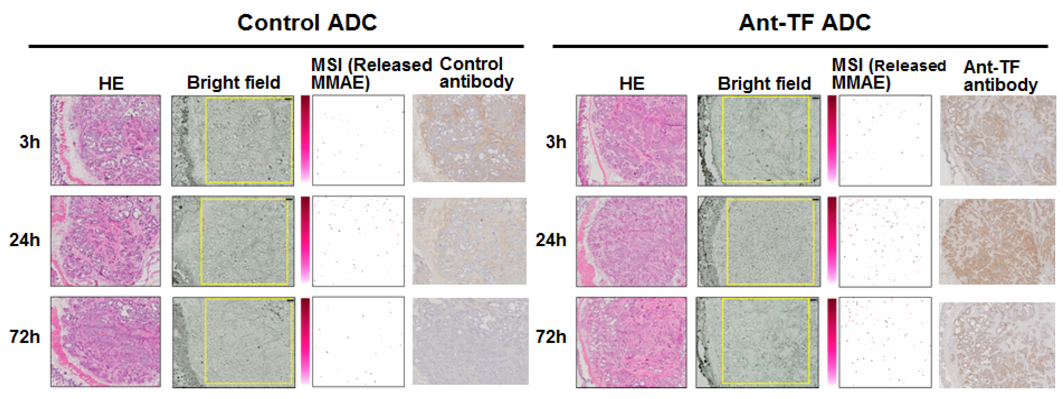 Bioengineering 04 00078 g007 550