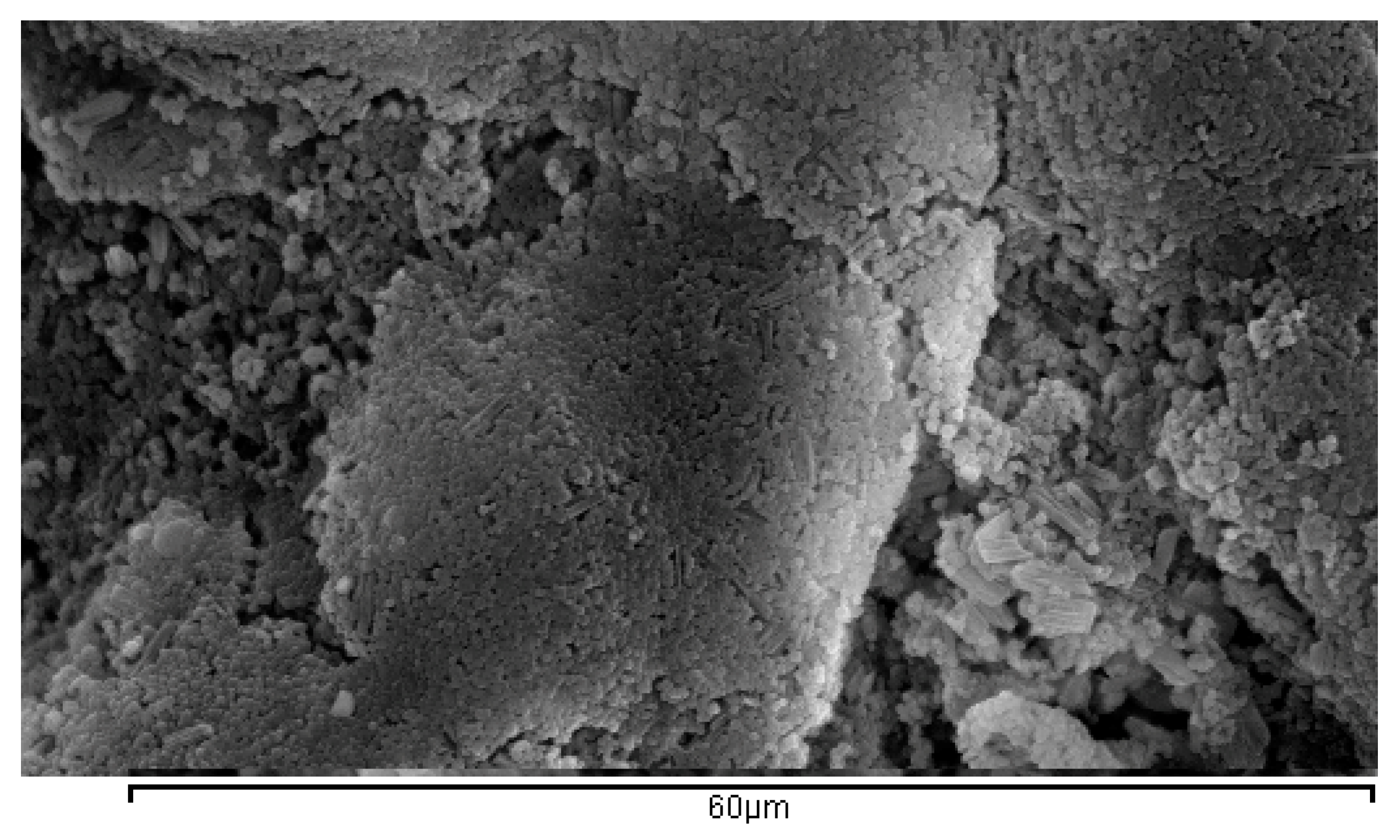 Bioengineering 04 00081 g001 Bioengineering 04 00081 g001