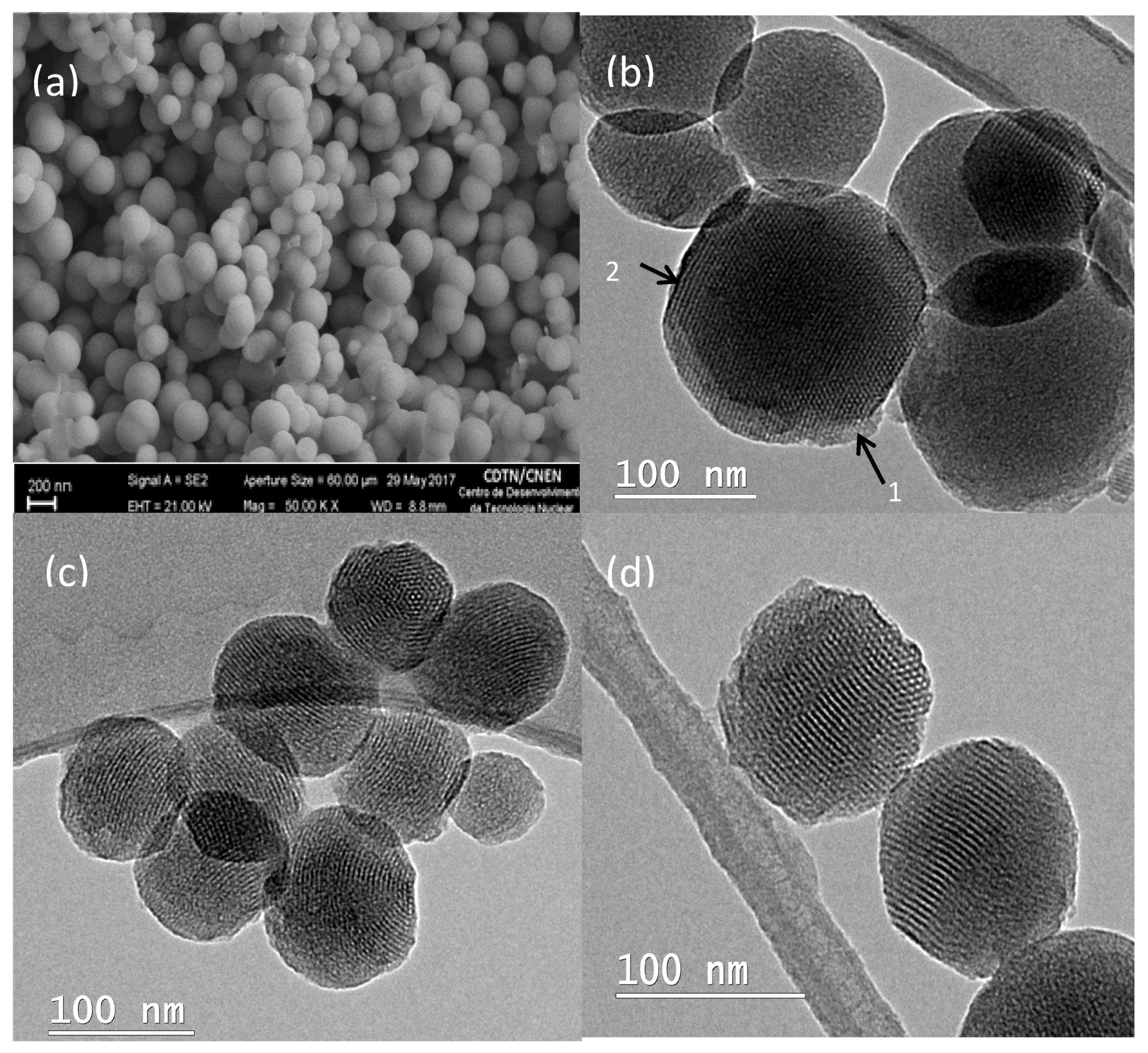 Bioengineering 05 00004 g001 Bioengineering 05 00004 g001