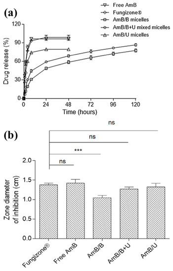 Bioengineering | Free Full-Text | Electrospun Fibers as a Dressing 