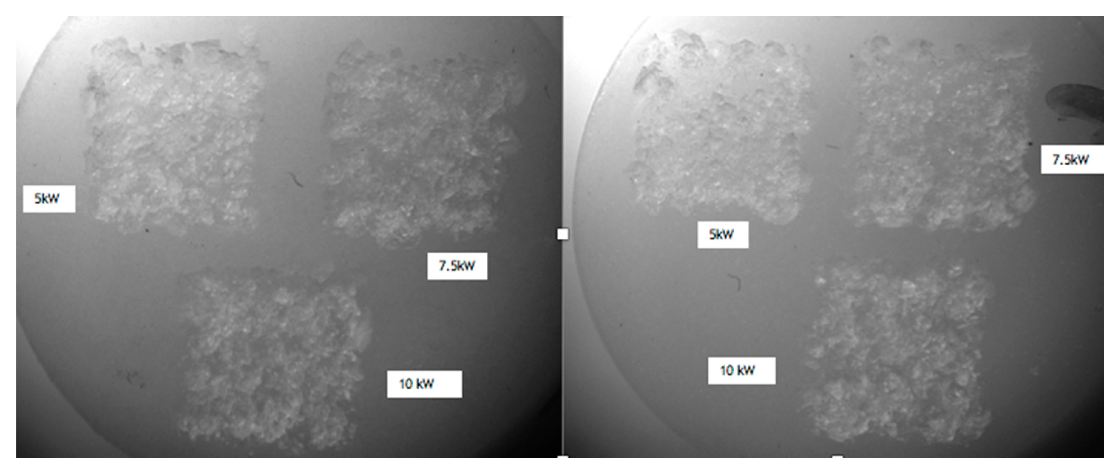 Bioengineering 05 00010 g001