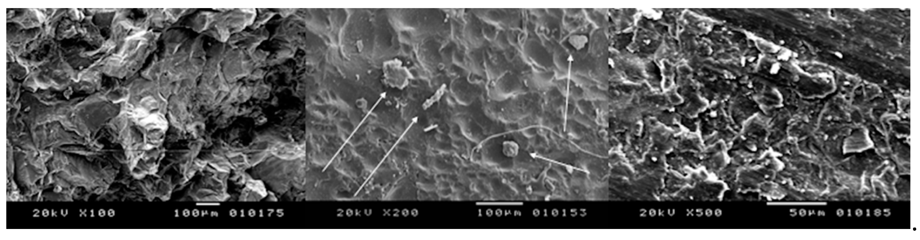 Bioengineering 05 00010 g004