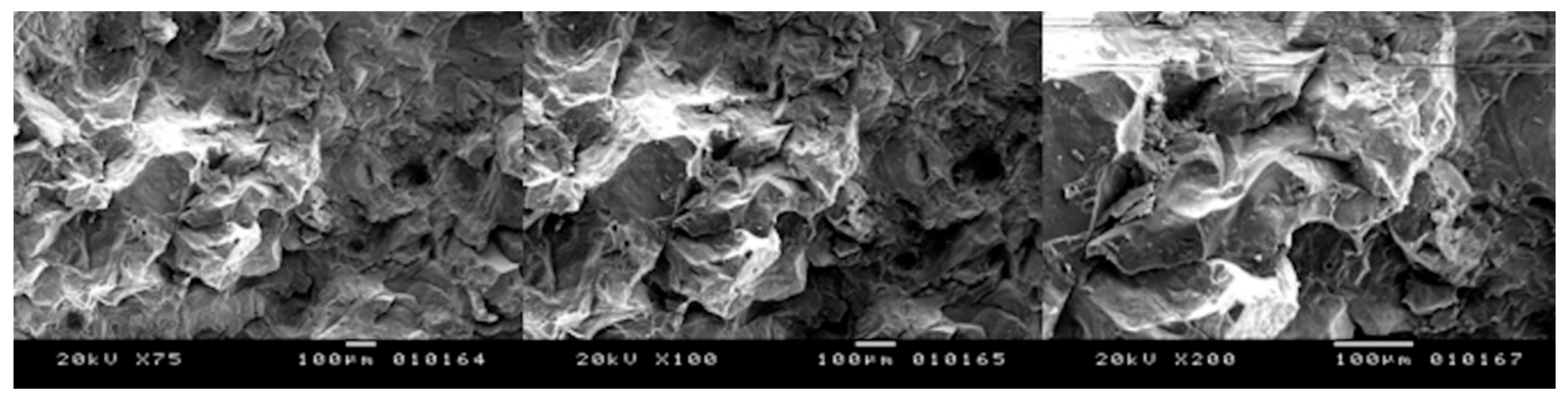 Bioengineering 05 00010 g007