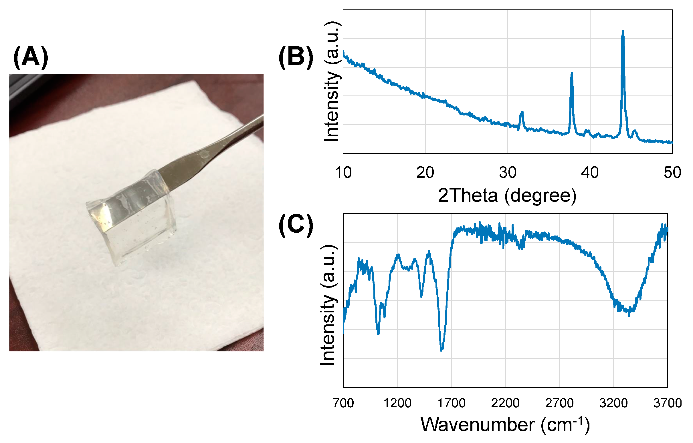 Bioengineering 05 00012 g001