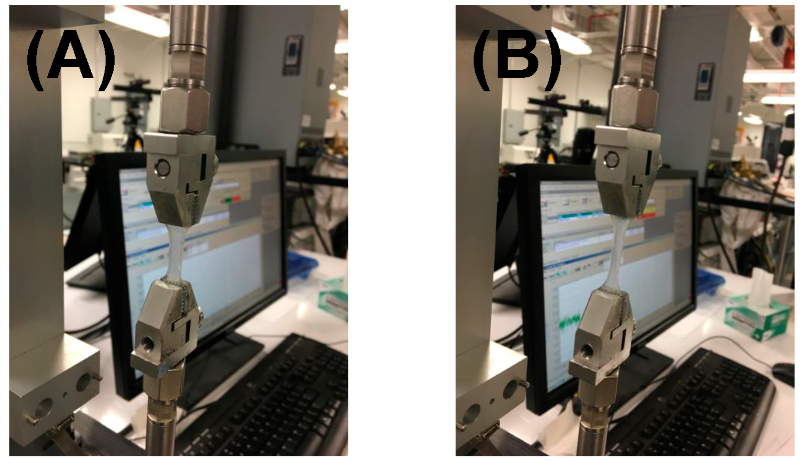 Bioengineering 05 00012 g003
