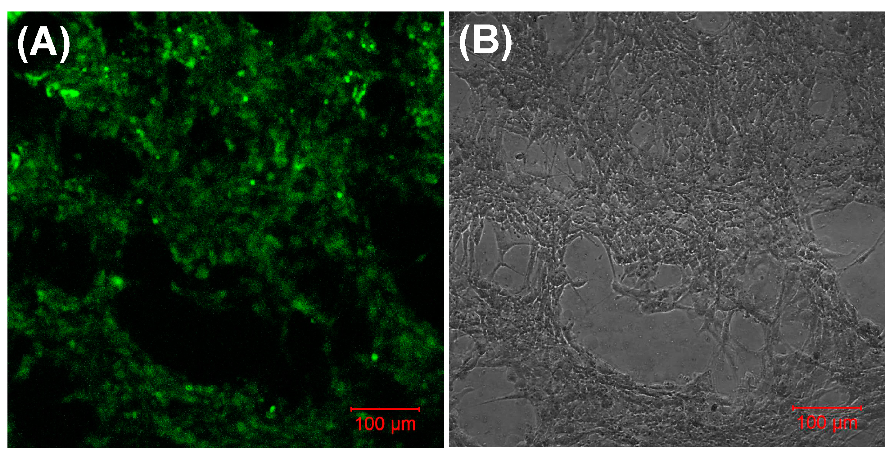 Bioengineering 05 00012 g004