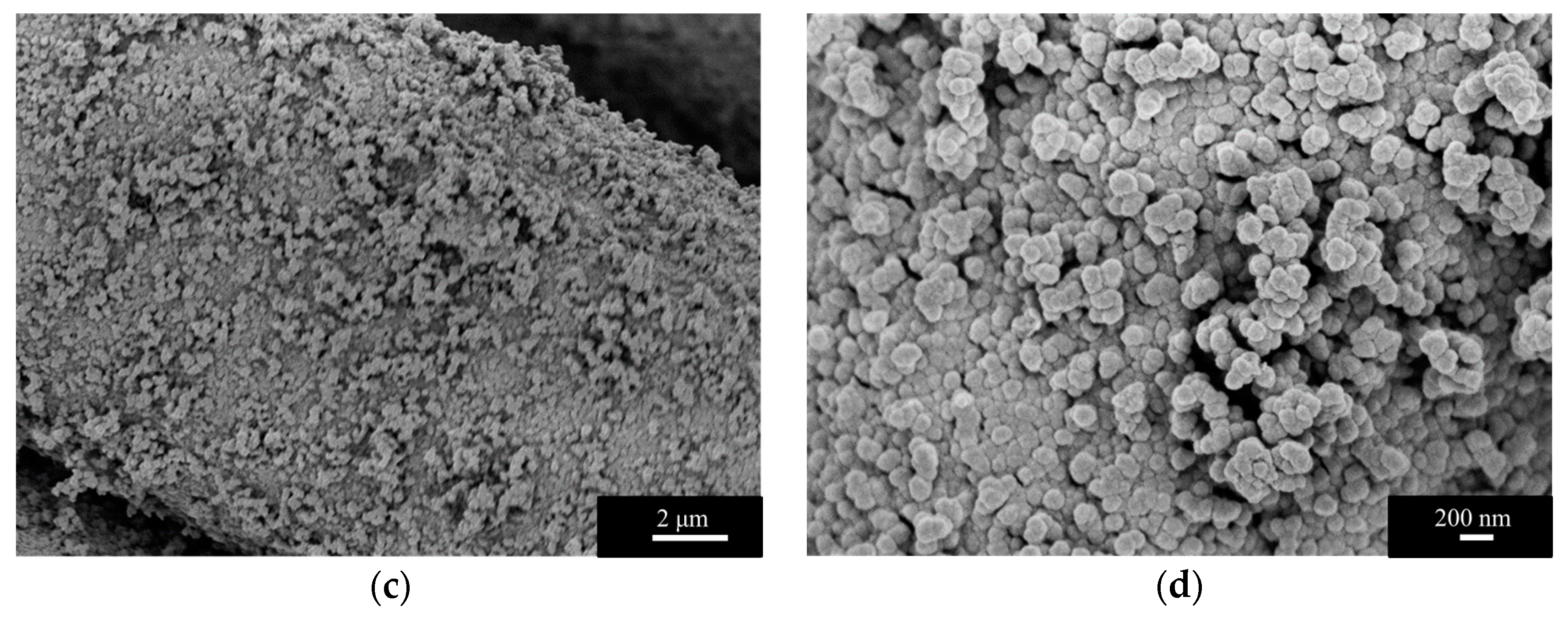 Bioengineering 05 00014 g004b