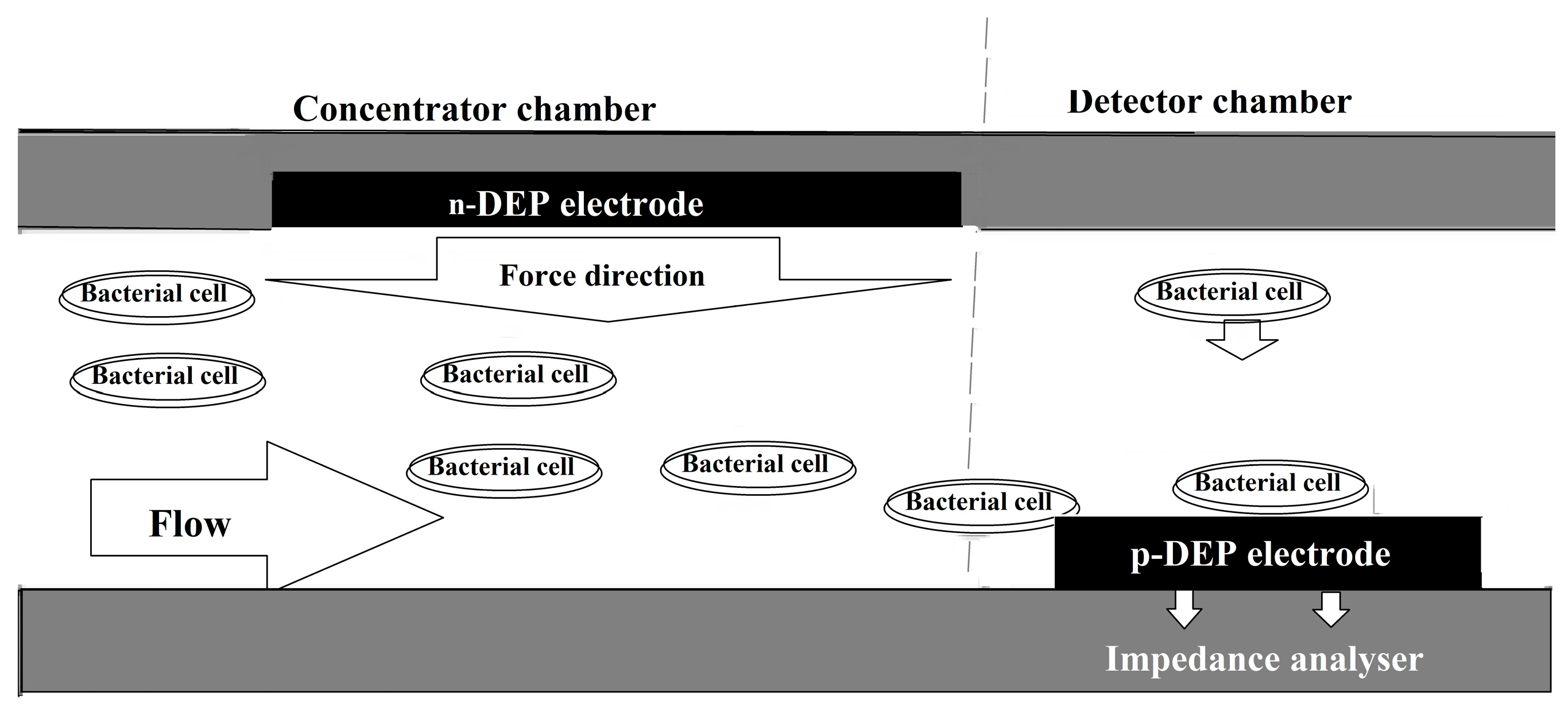 Bioengineering 05 00020 g008 Bioengineering 05 00020 g008
