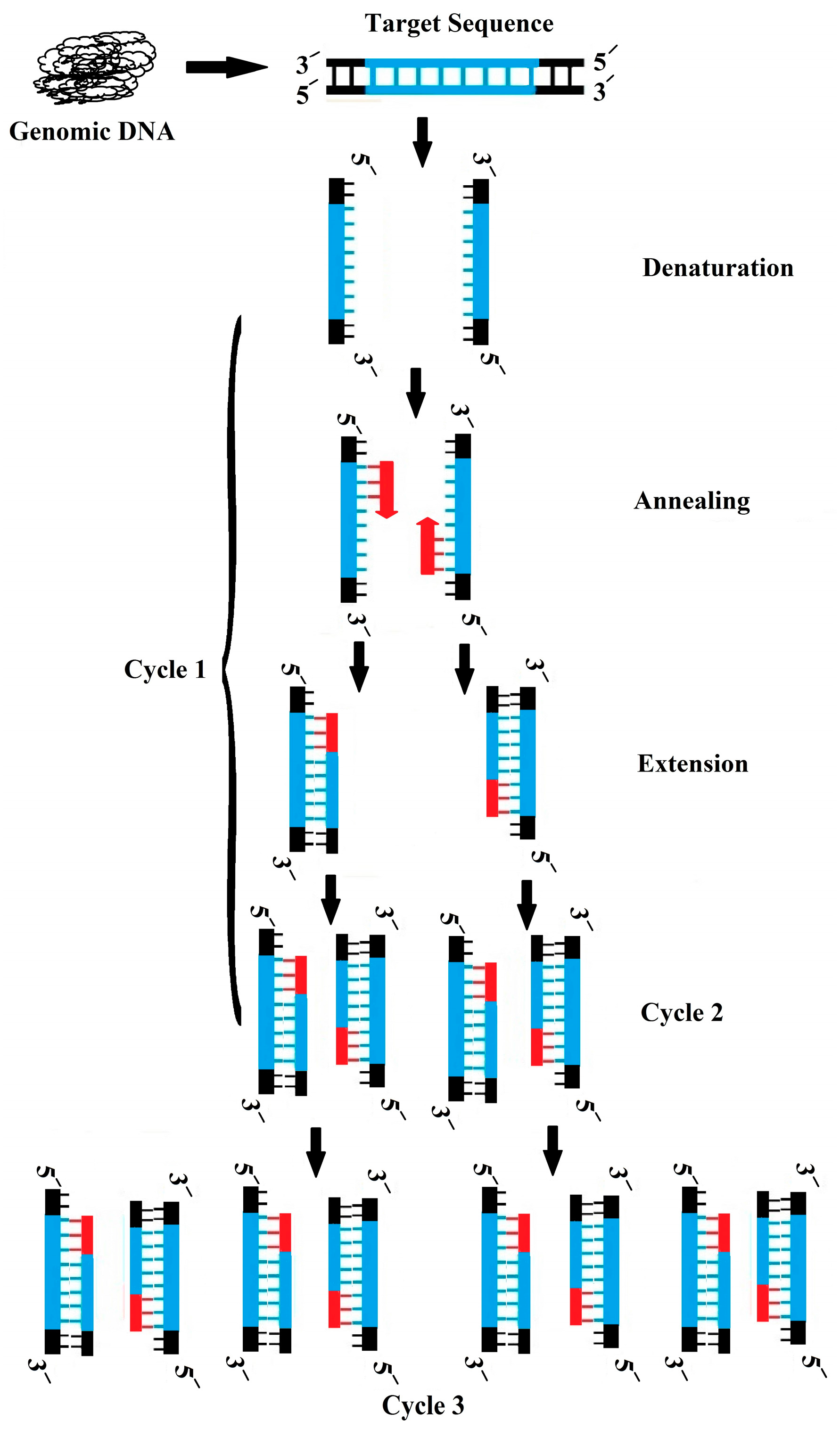 Bioengineering 05 00020 g012 Bioengineering 05 00020 g012