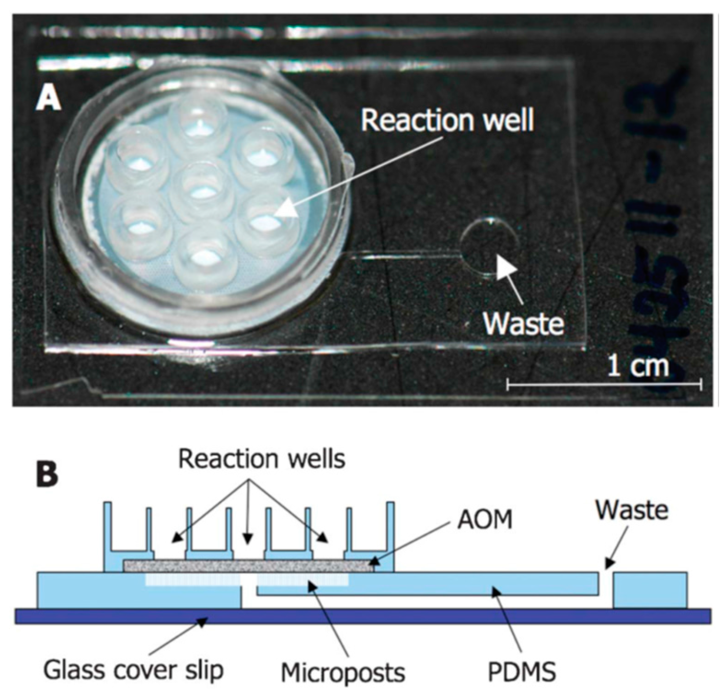 Bioengineering 05 00020 g014 Bioengineering 05 00020 g014