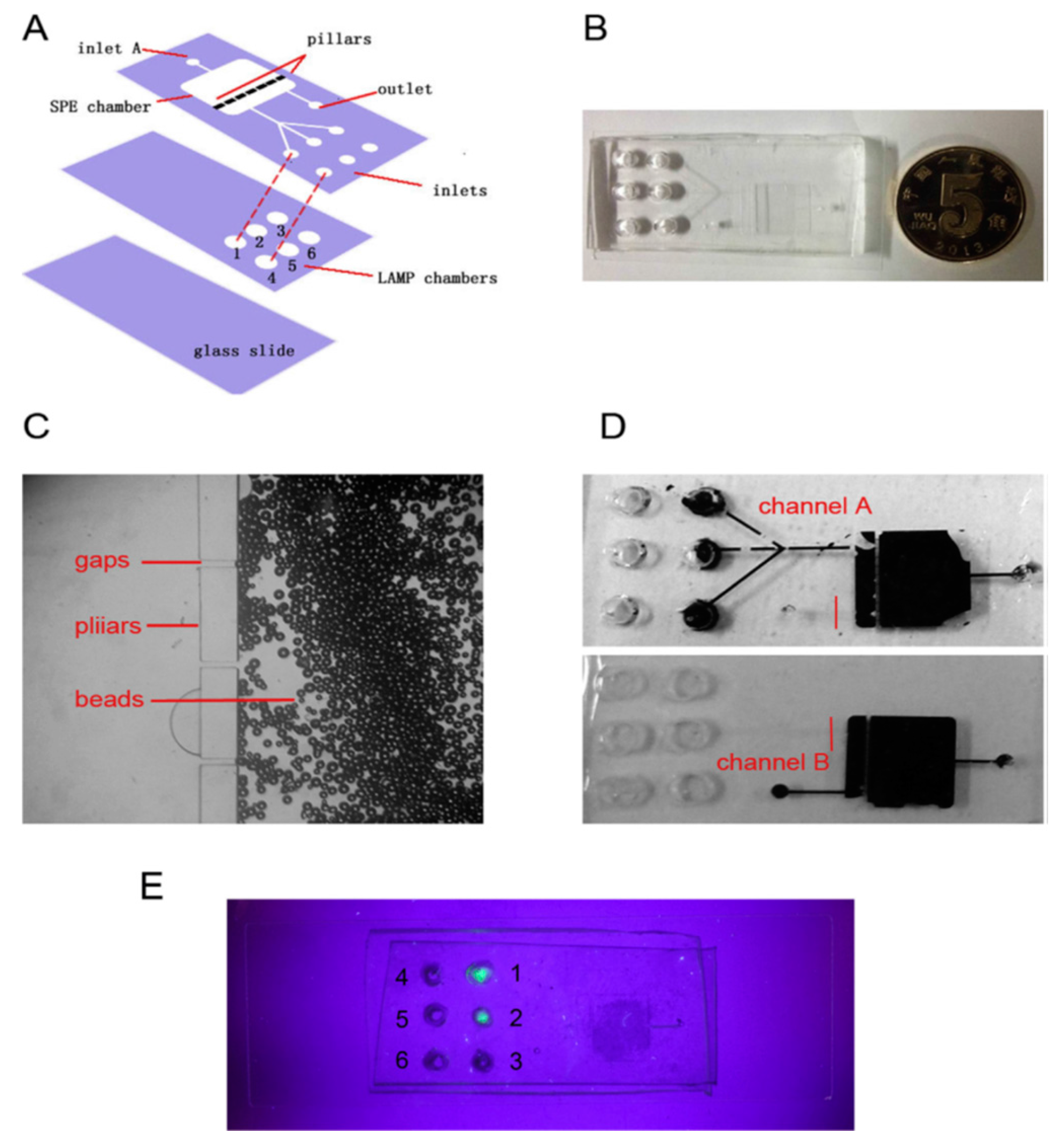 Bioengineering 05 00020 g016 Bioengineering 05 00020 g016