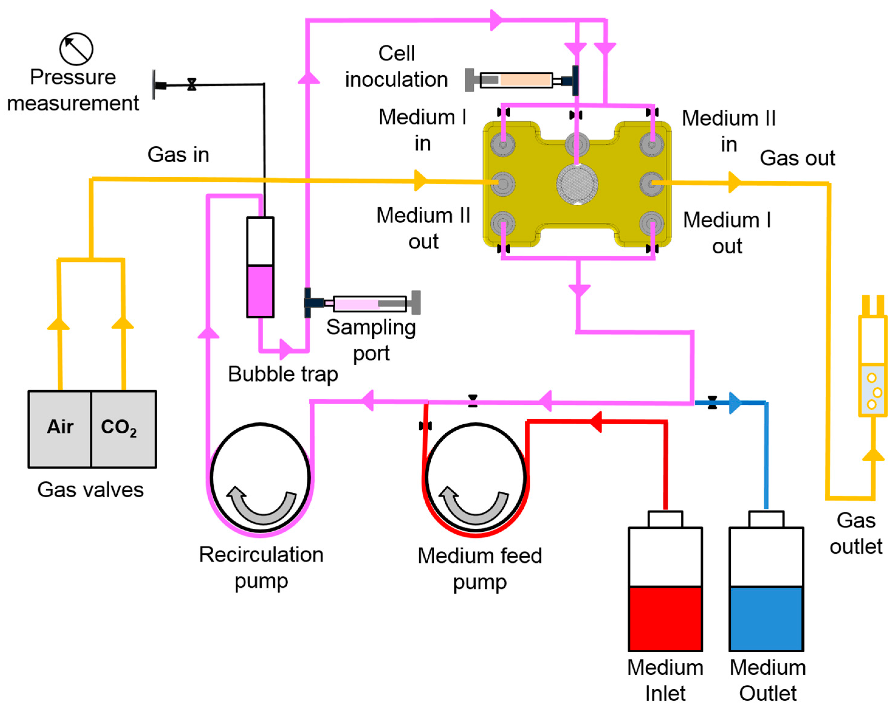 Bioengineering 05 00024 g002