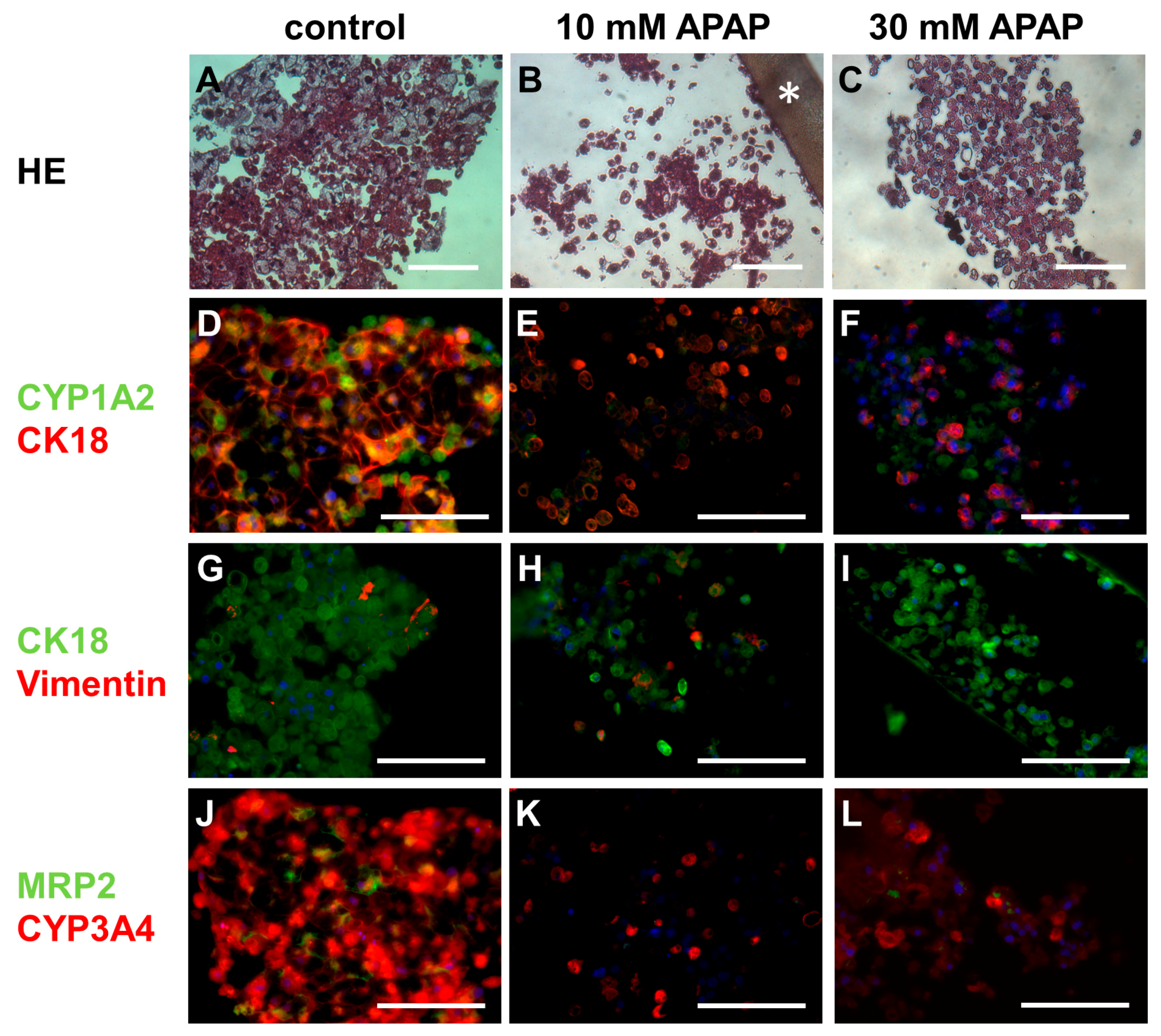 Bioengineering 05 00024 g006
