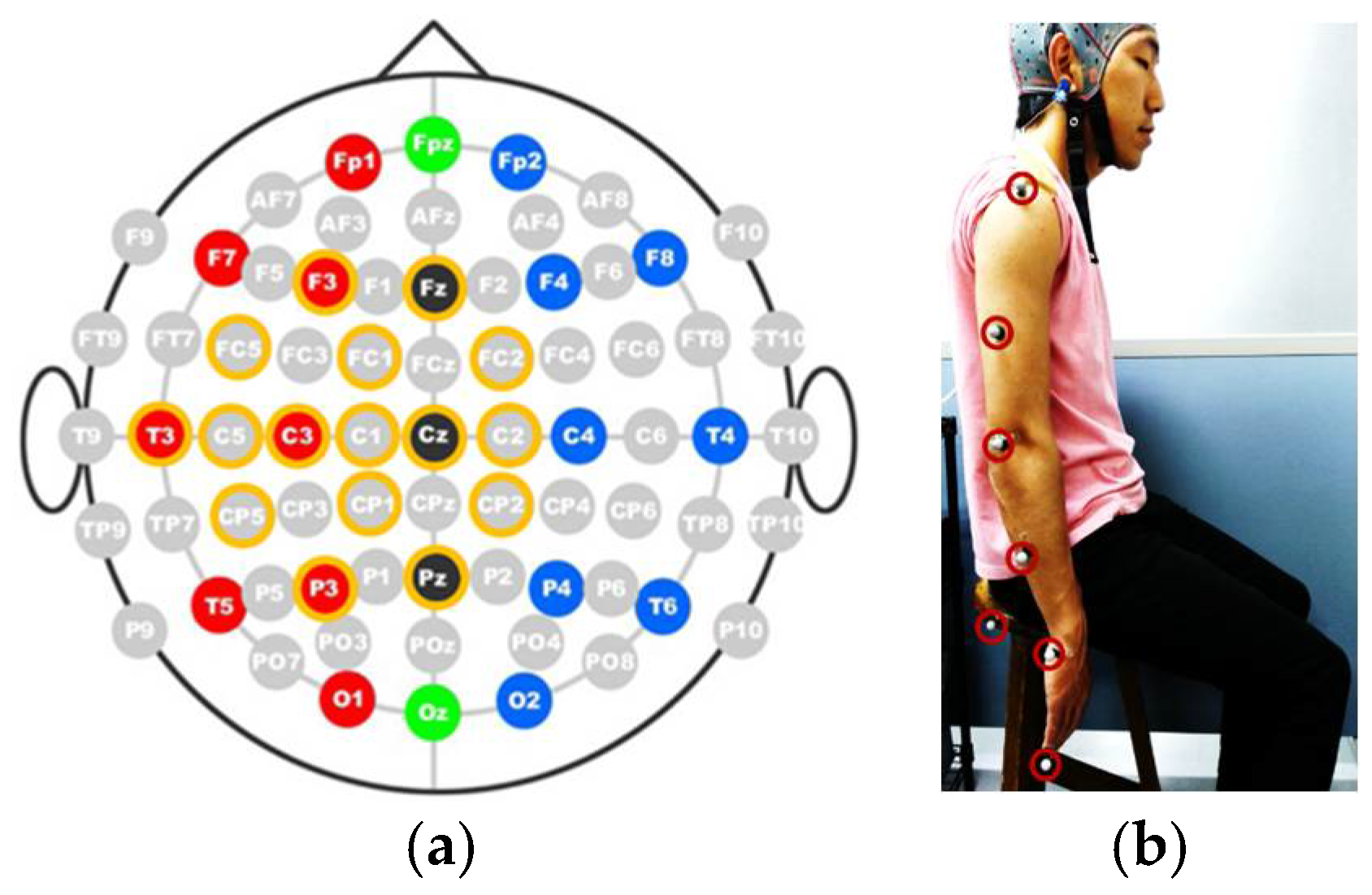 Bioengineering 05 00026 g003