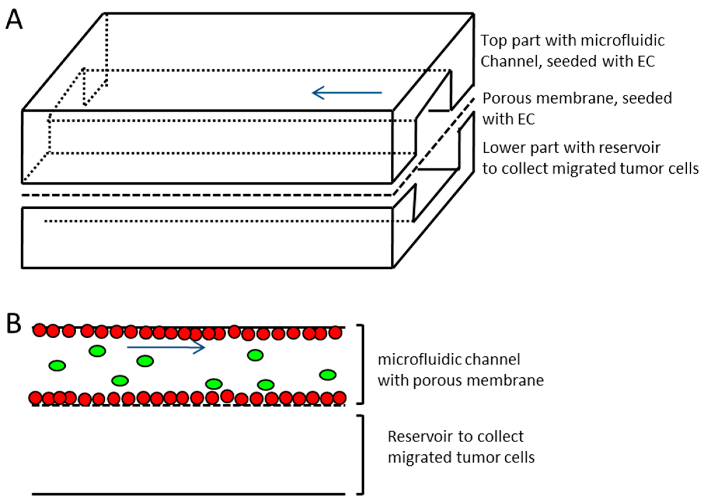 Bioengineering 05 00040 g002