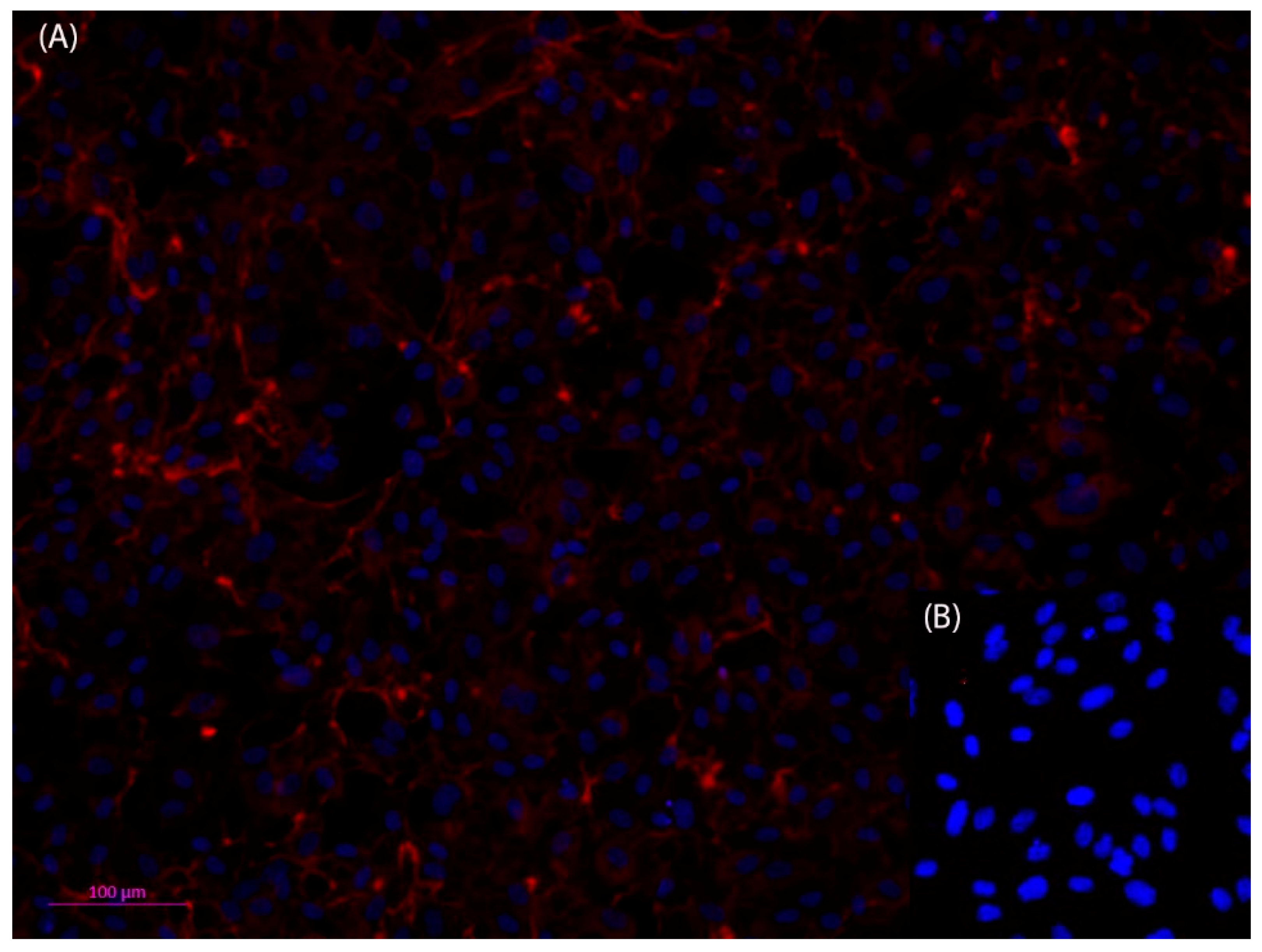 Bioengineering 05 00040 g003