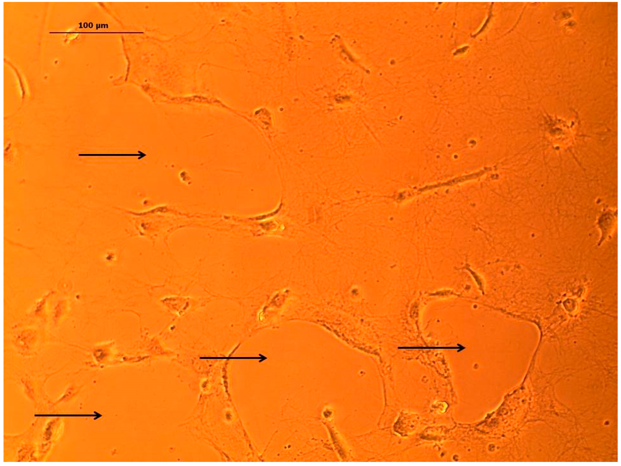 Bioengineering 05 00040 g0a1