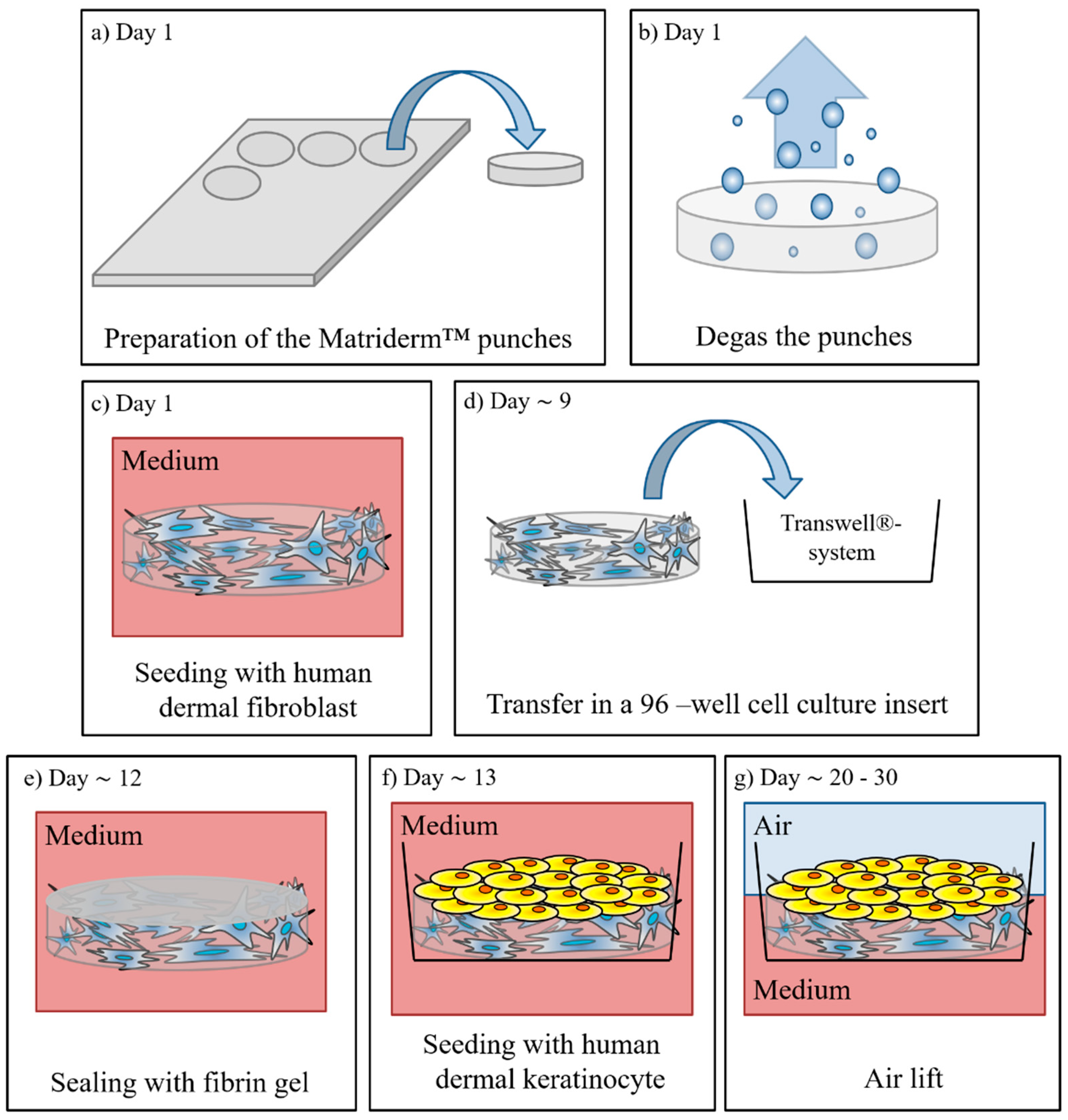 Bioengineering 05 00043 g001