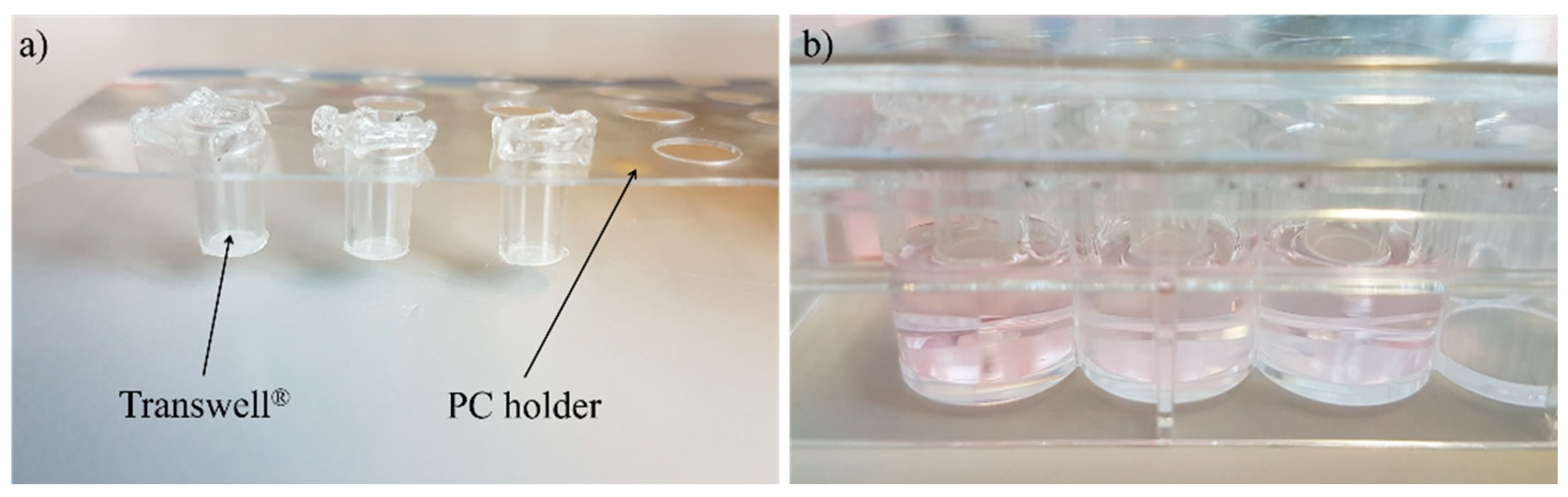 Bioengineering 05 00043 g002
