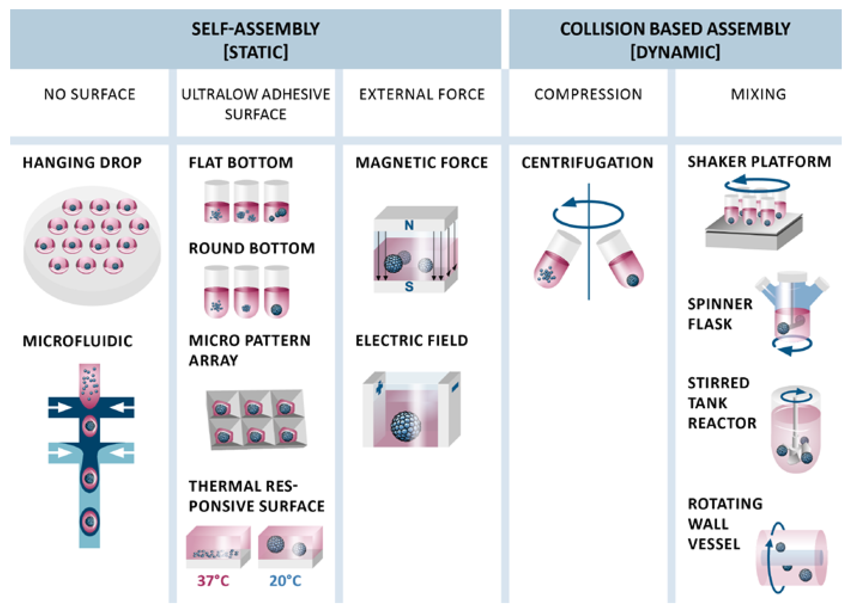 Bioengineering 05 00048 g002