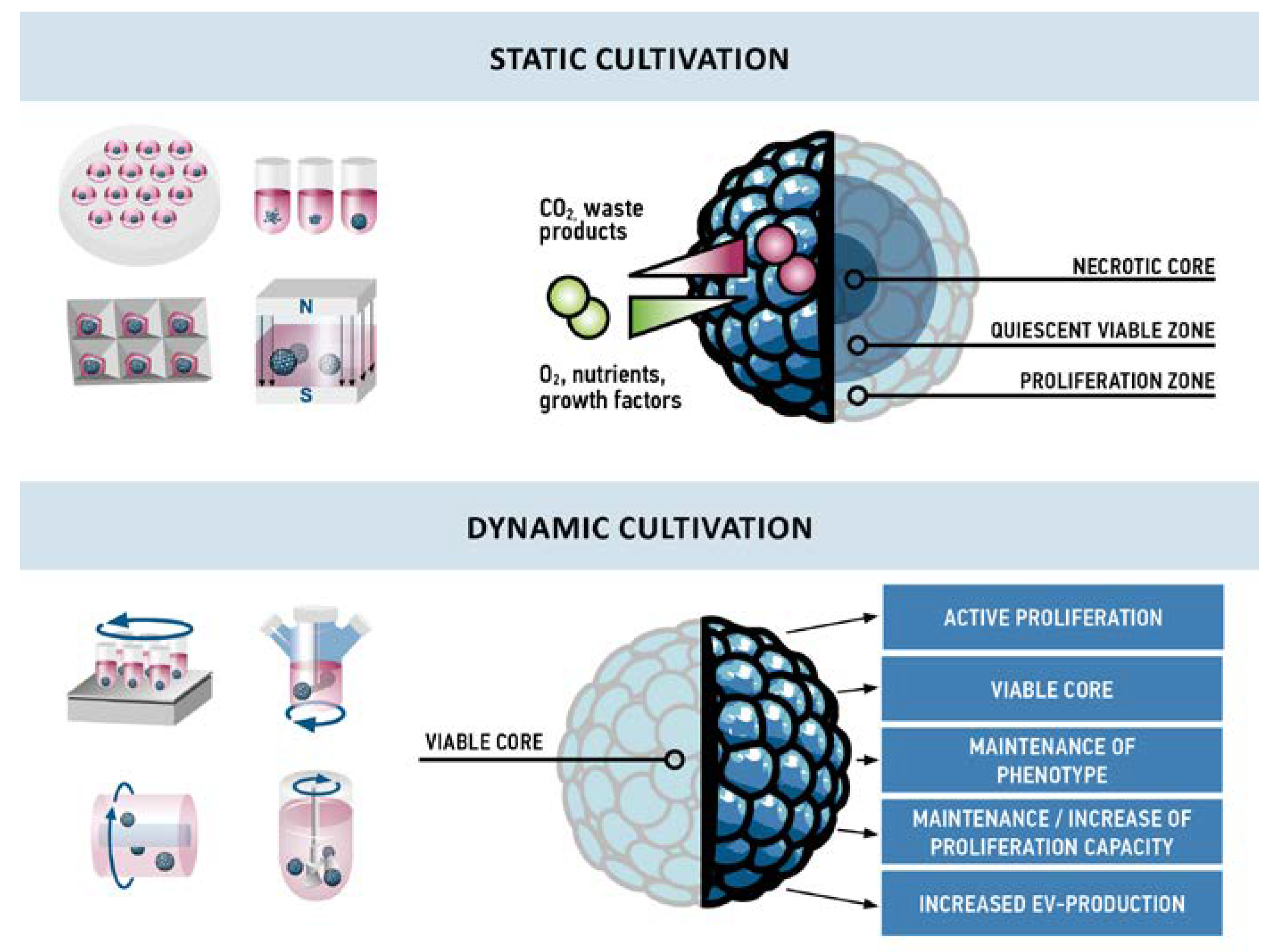 Bioengineering 05 00048 g003