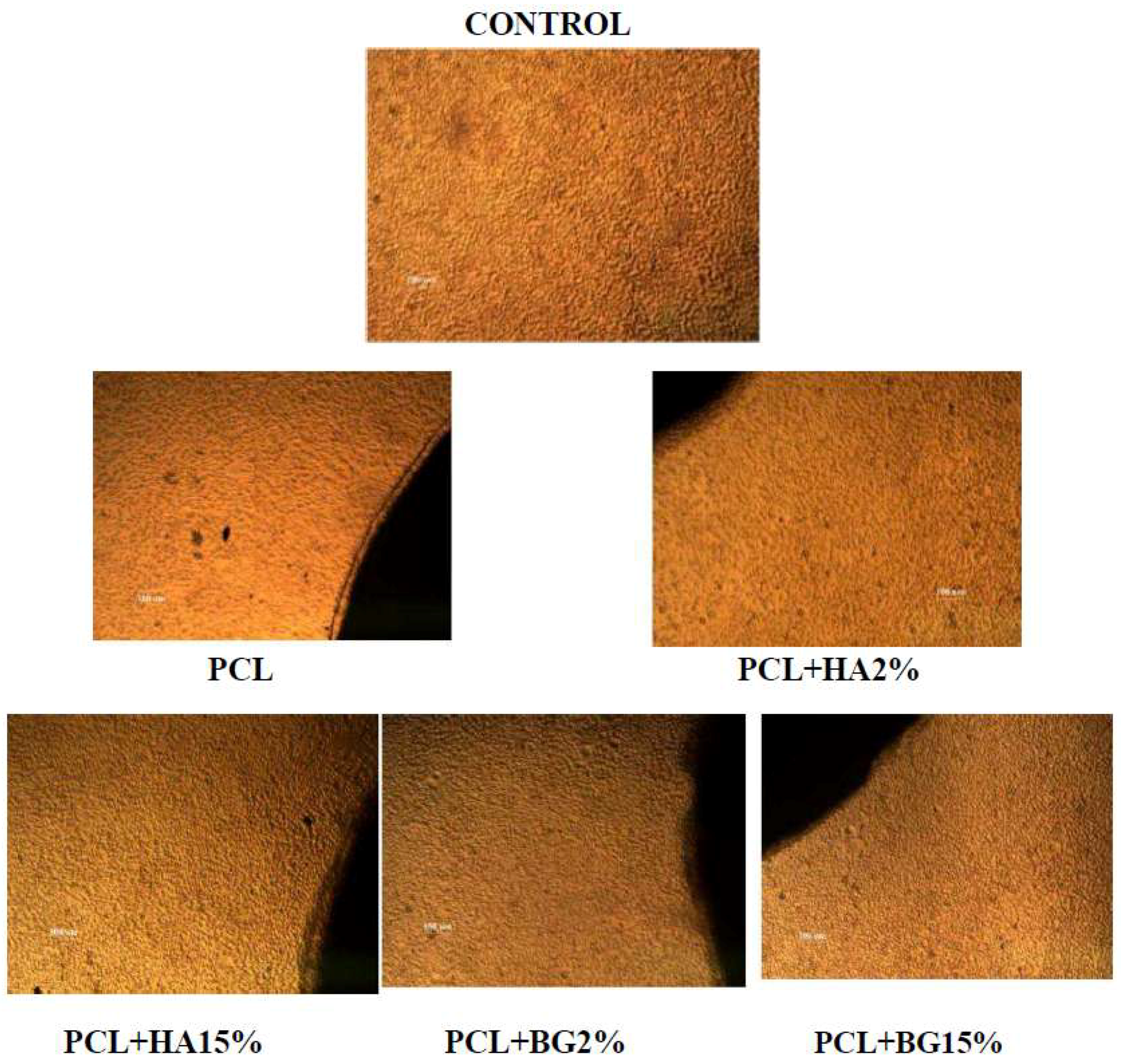 Bioengineering 05 00054 g007