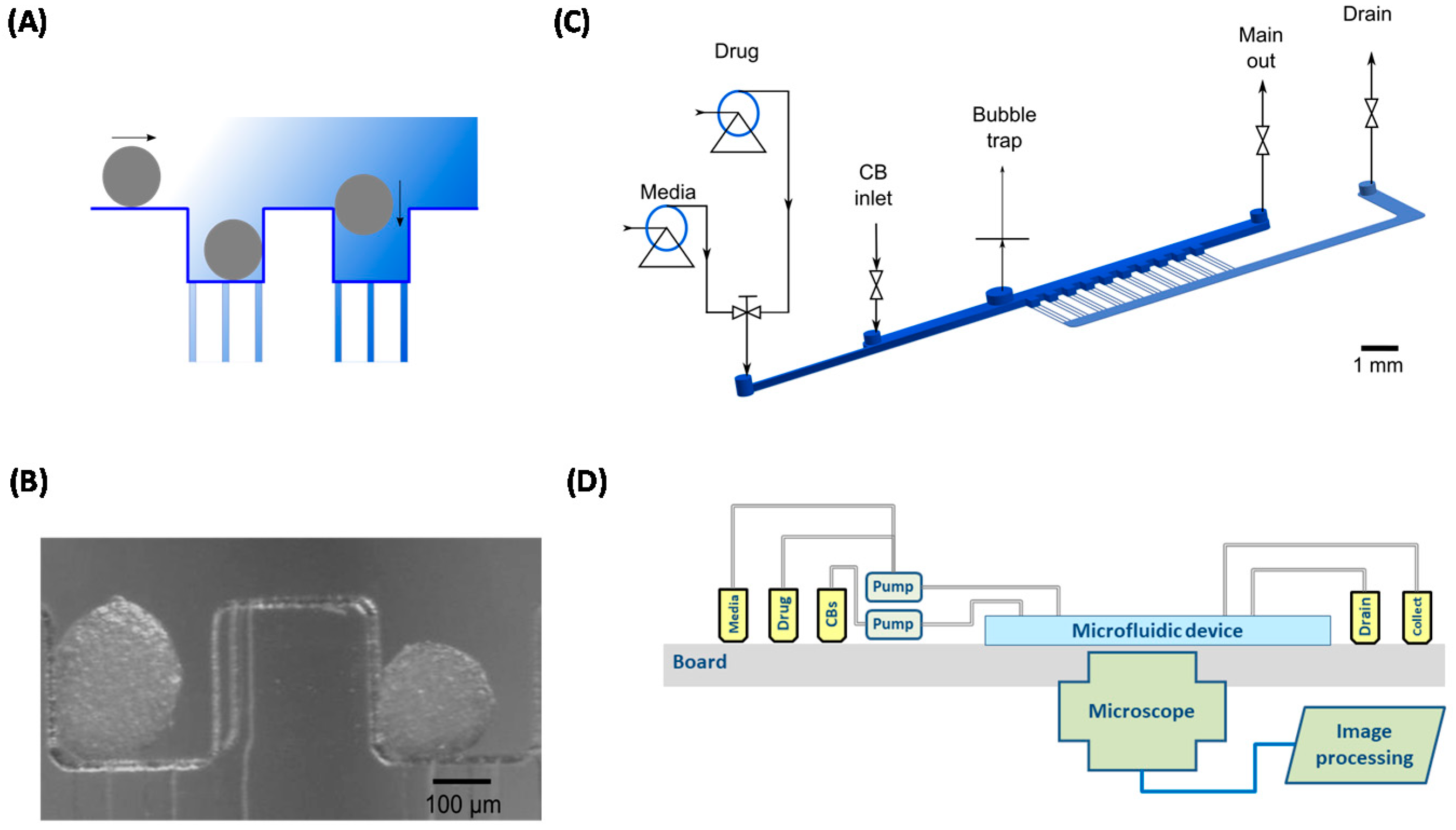 Bioengineering 05 00056 g010 Bioengineering 05 00056 g010