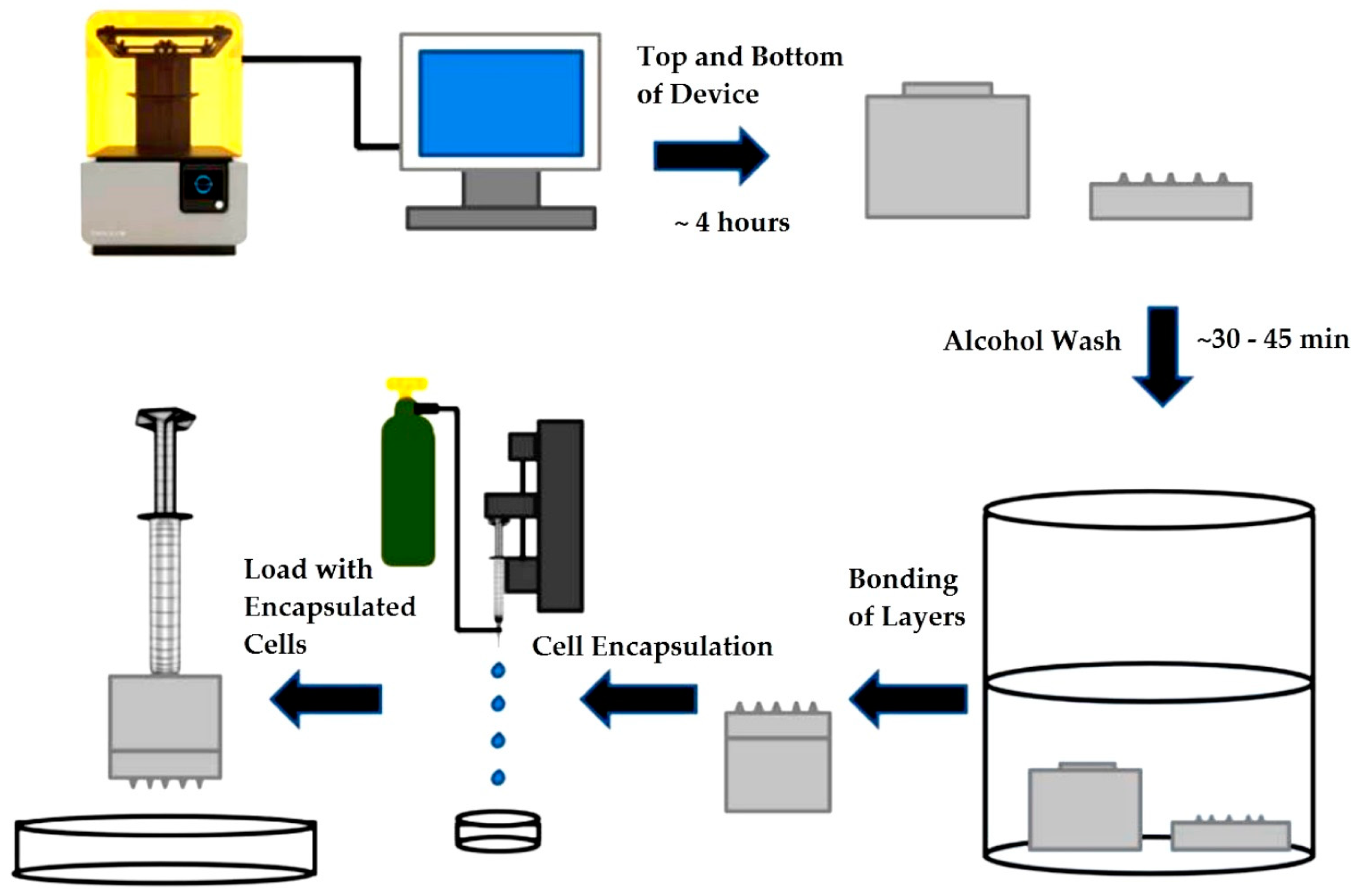 Bioengineering 05 00059 g001