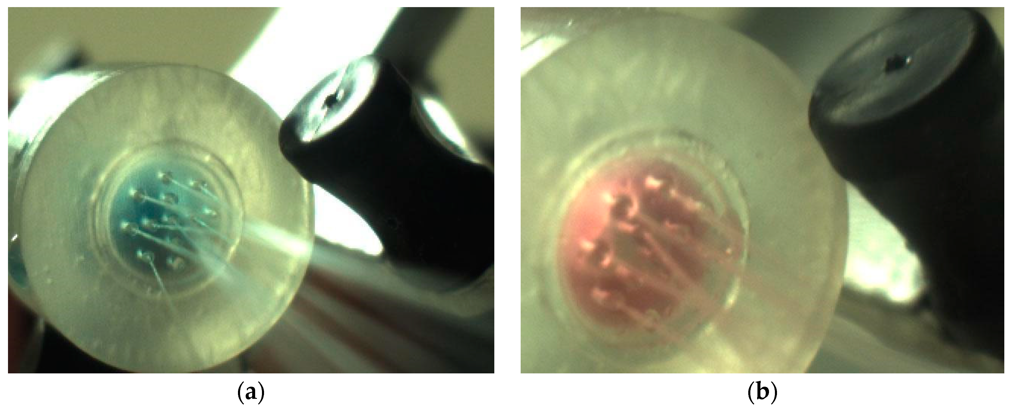 Bioengineering 05 00059 g005