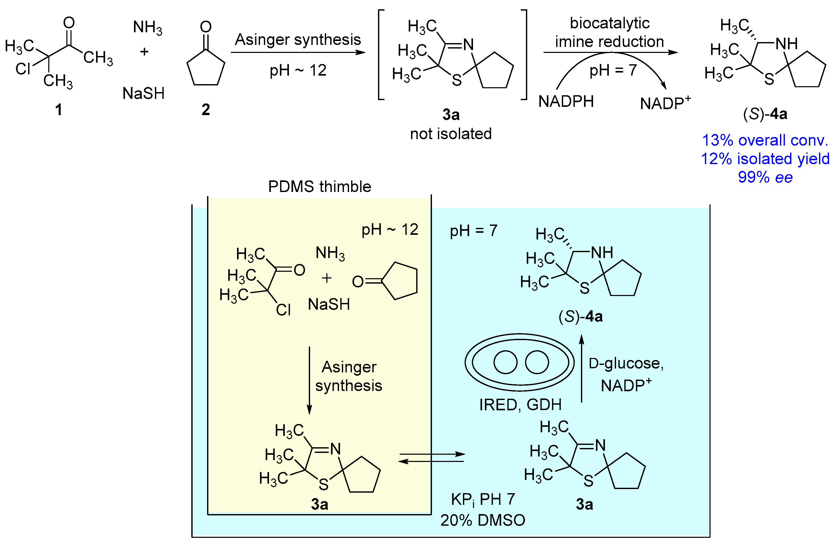 Bioengineering 05 00060 g005